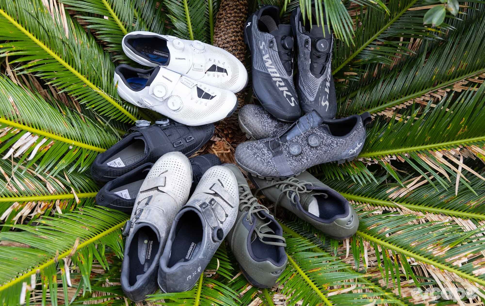 bunch of shoes on a palm tree