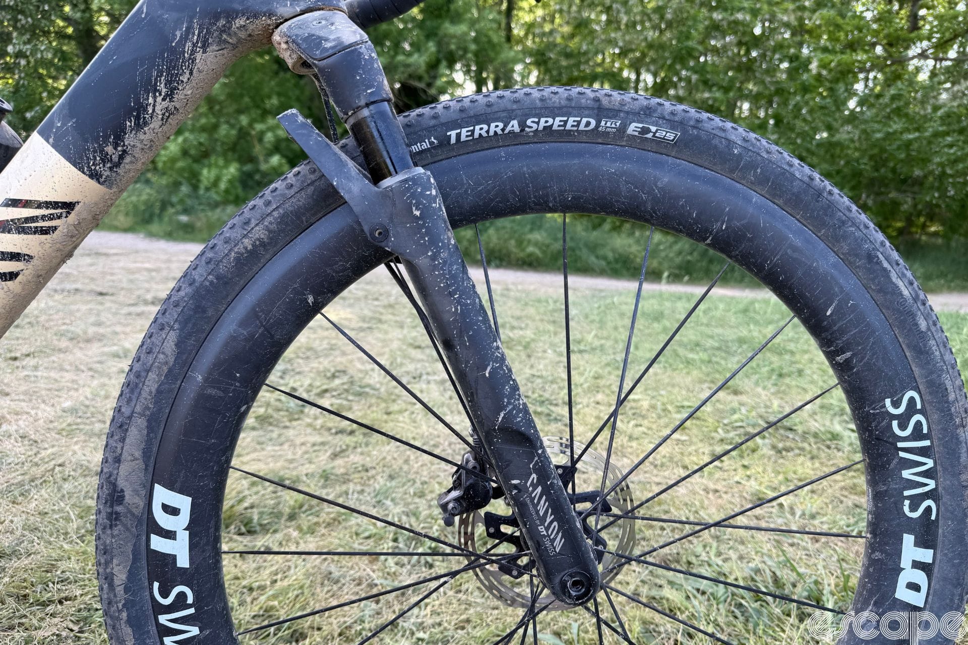 Daily News: Canyon and DT Swiss launch gravel fork