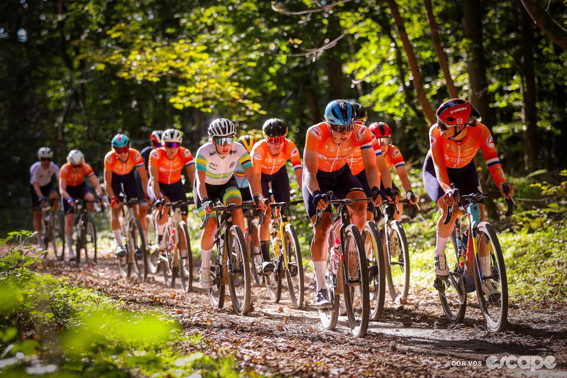 Daily News: Dutch cycling association invites survey participants for crash safety research