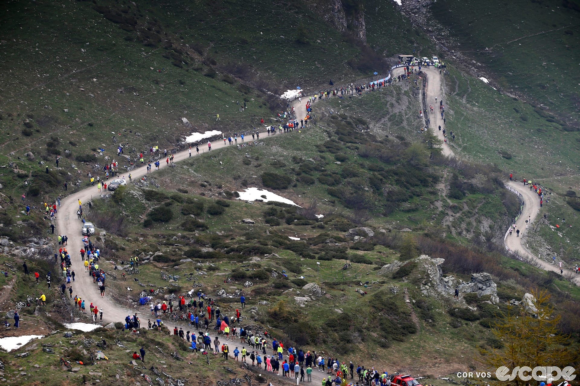 Wheel Talk Newsletter: New year, new Giro d'Italia