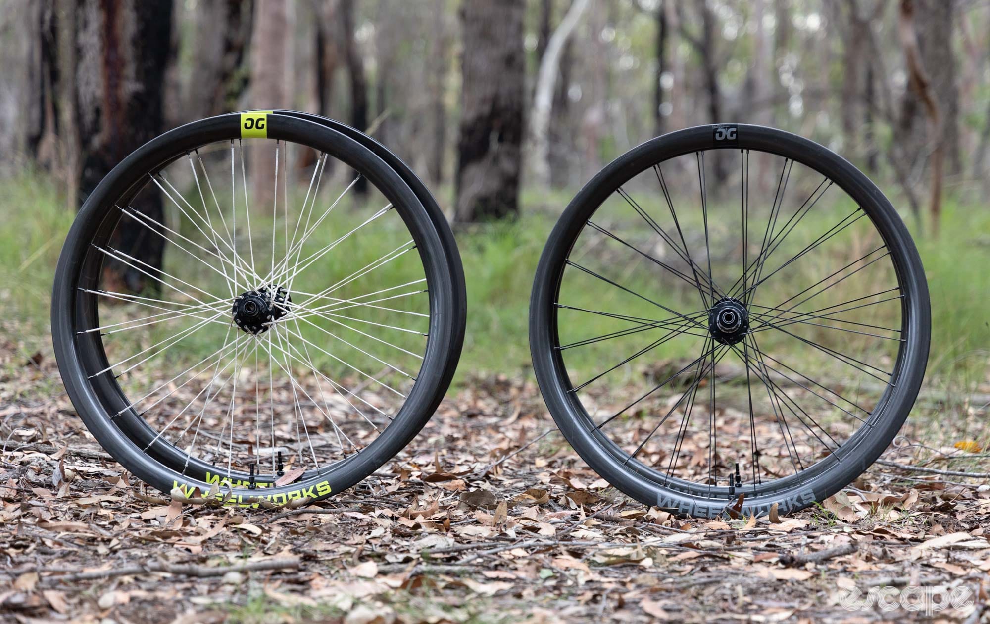 Diving deep: Reviewing Berd polymer vs steel-bladed spokes