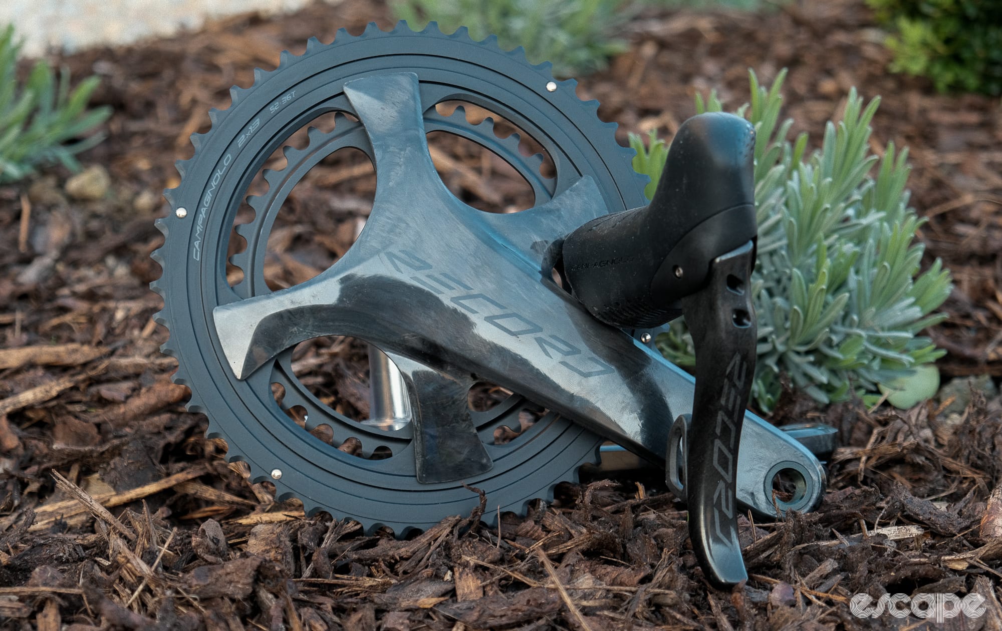 Campagnolo goes second-tier with Record 13