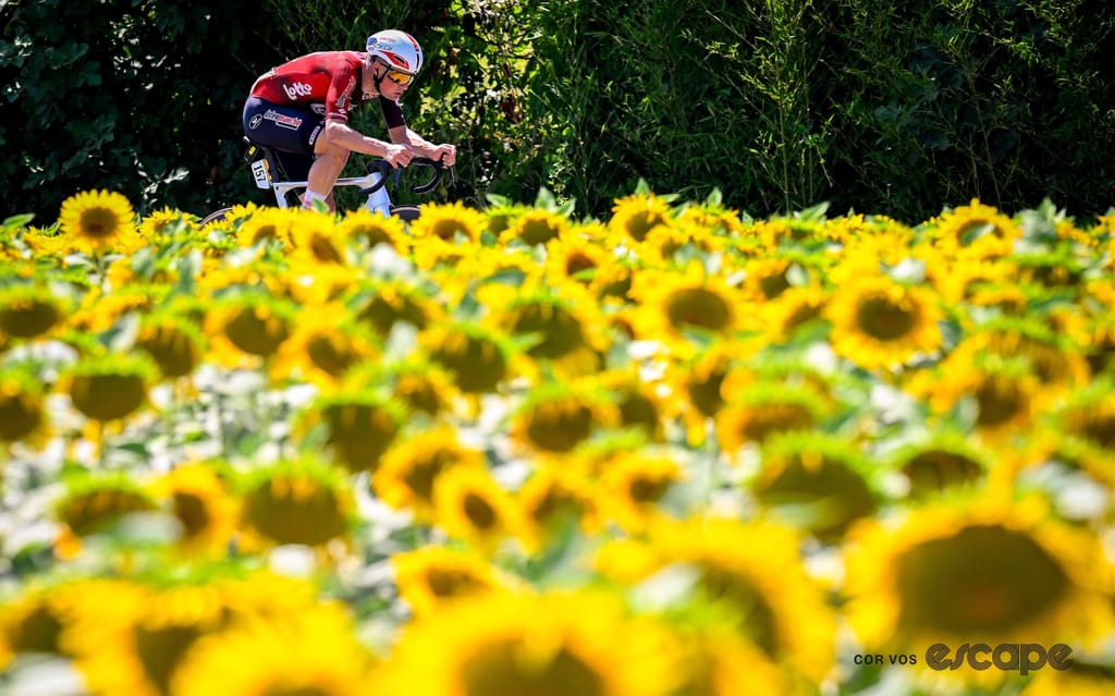 Veistroffer rides, very much alone, through a field of sunflowers.