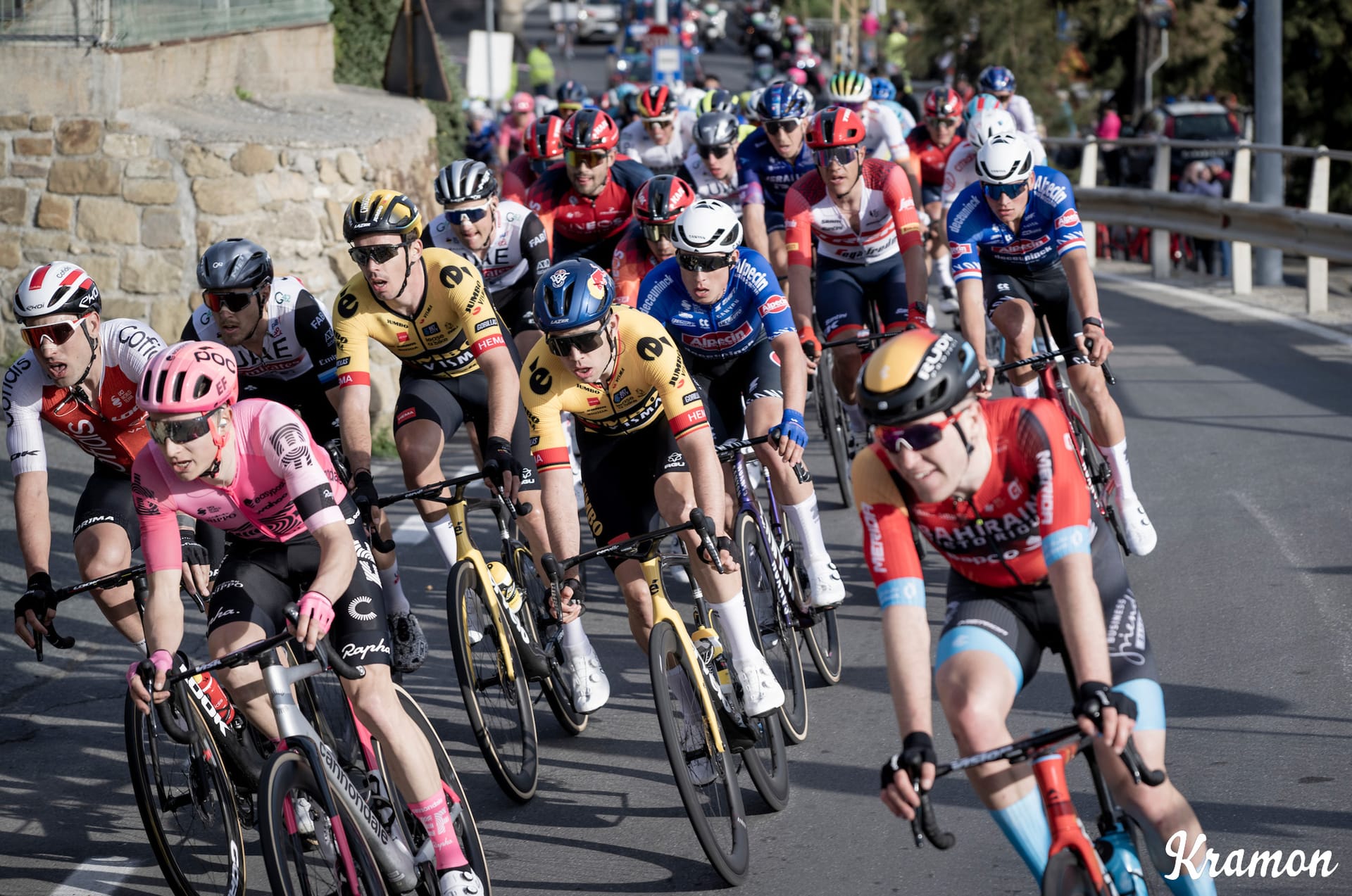 What would happen if everyone in the peloton used the same equipment?