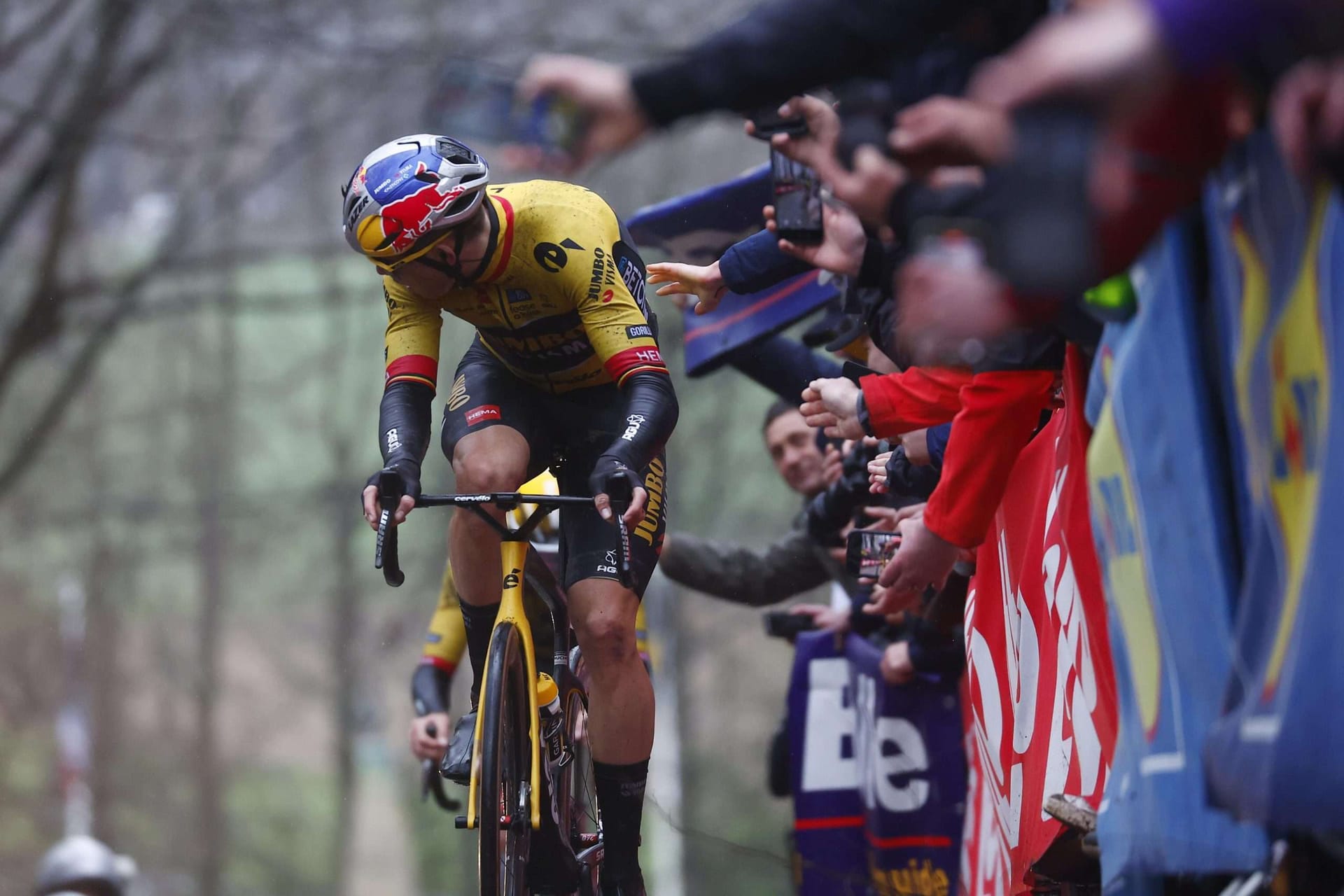 Will Belgian cycling ever stop eating its own?