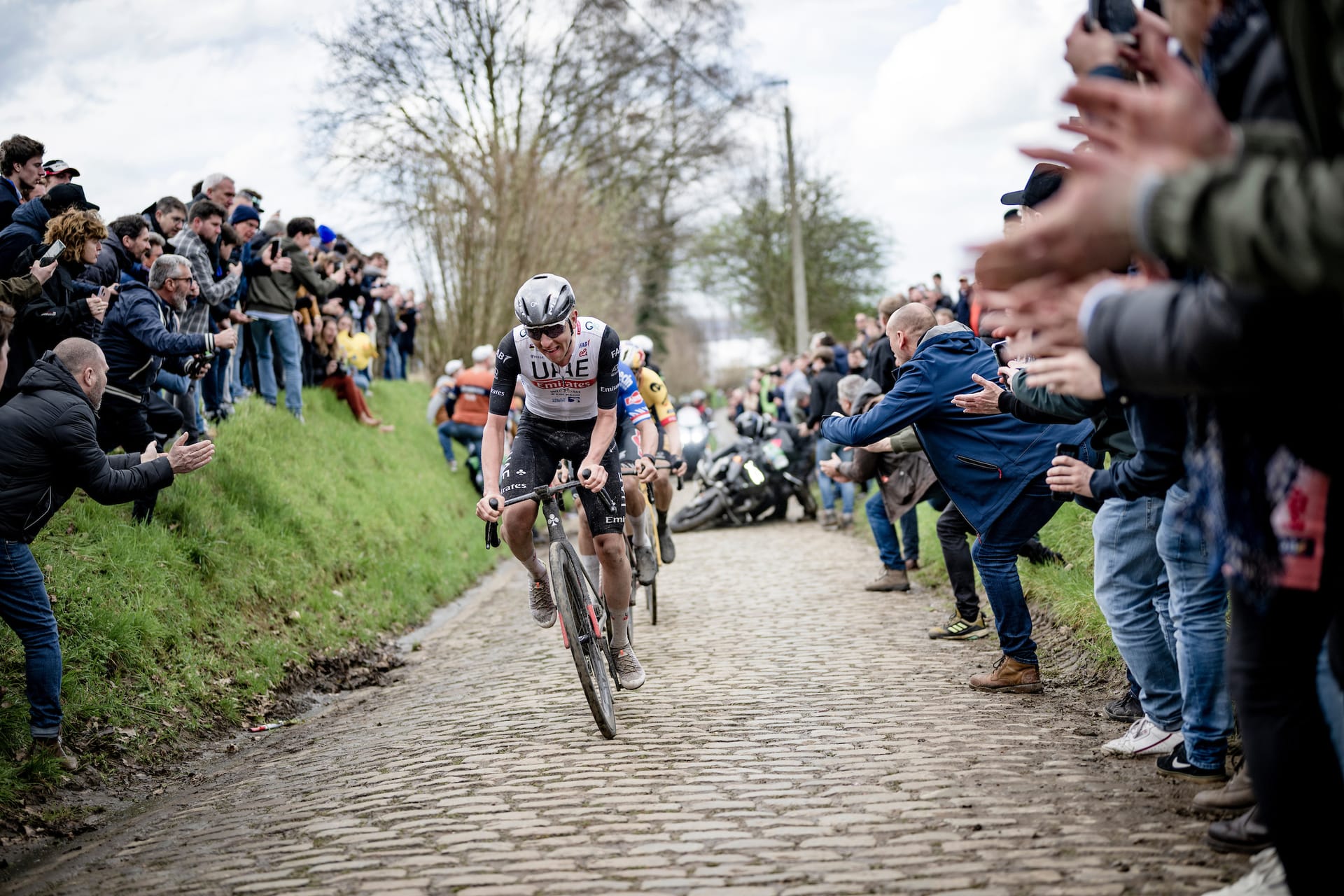 Men's Tour of Flanders preview: Everything you need to know, and some things you don't