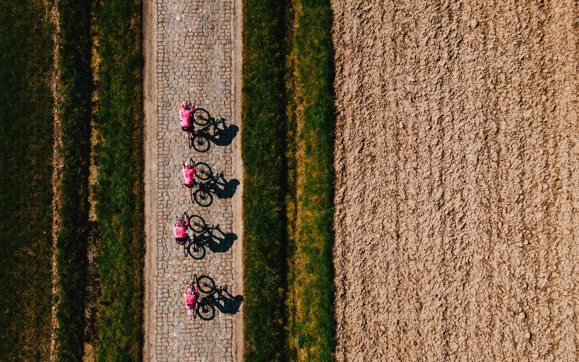 Roubaix dreams, cobbled nightmares