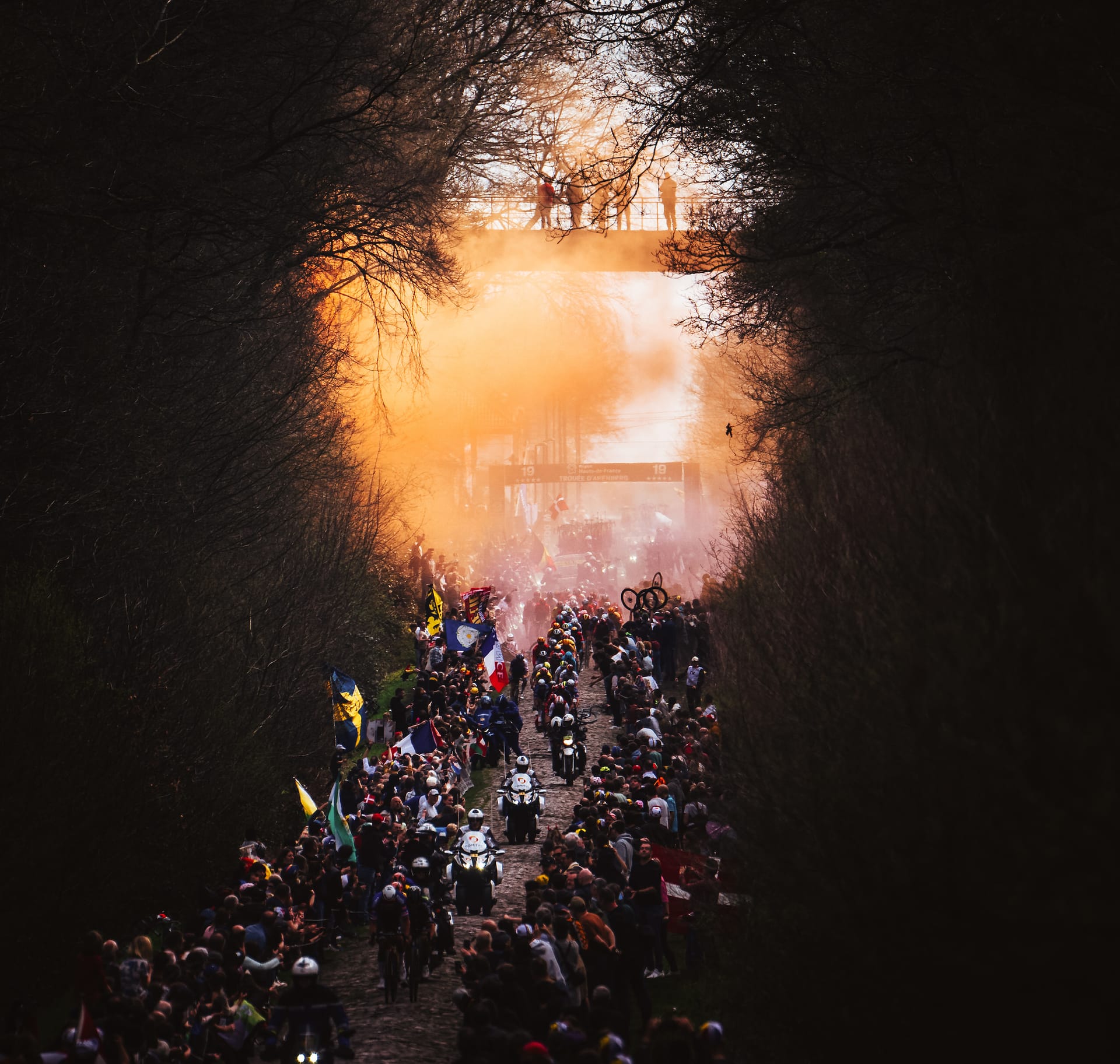 The Arenberg Forest can only be experienced