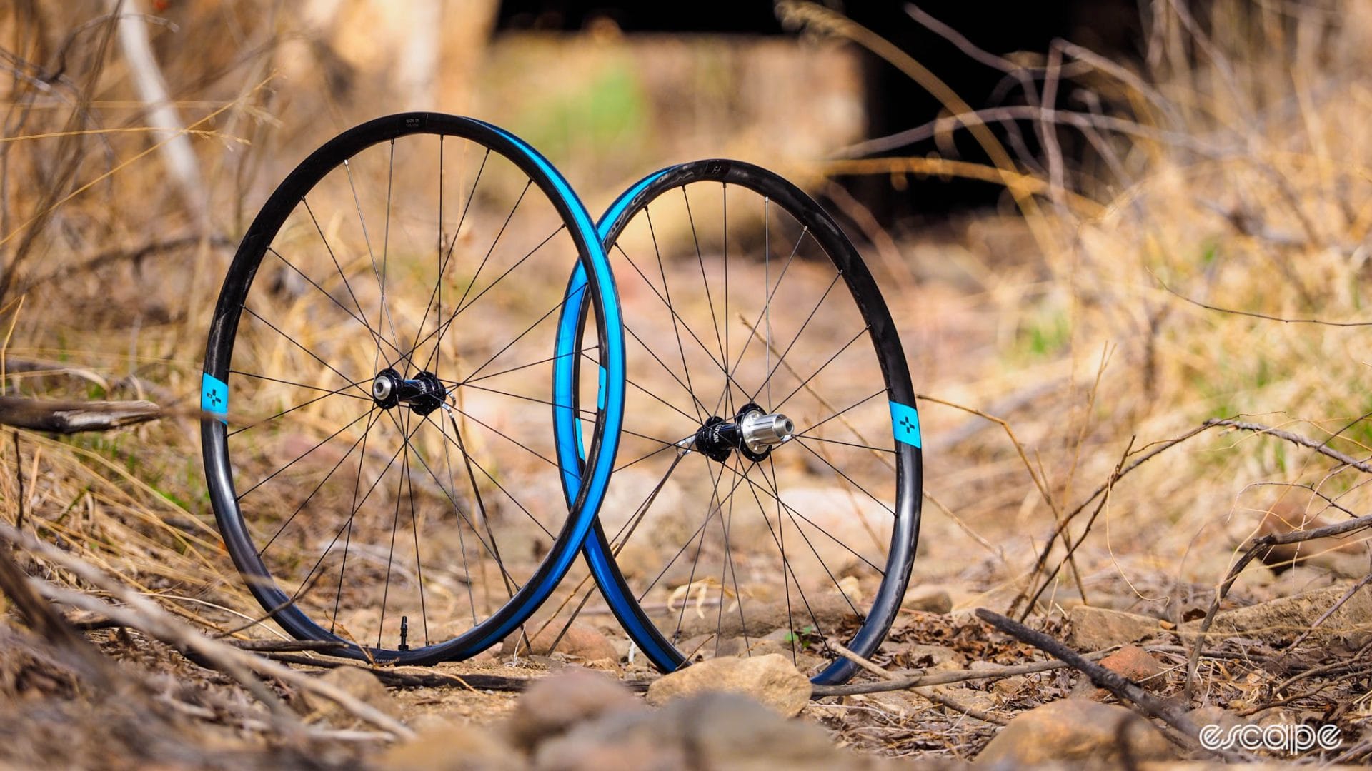 Review: Forge+Bond 25 GR gravel wheelset