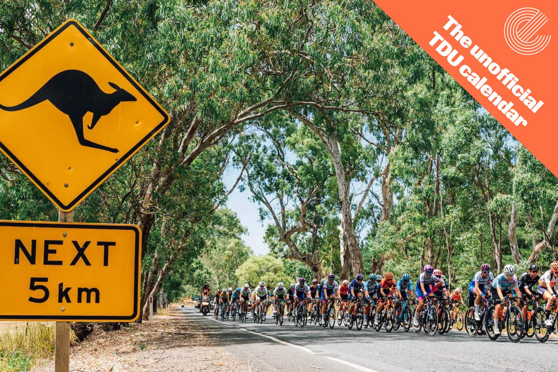 The unofficial TDU calendar: Saturday, January 13