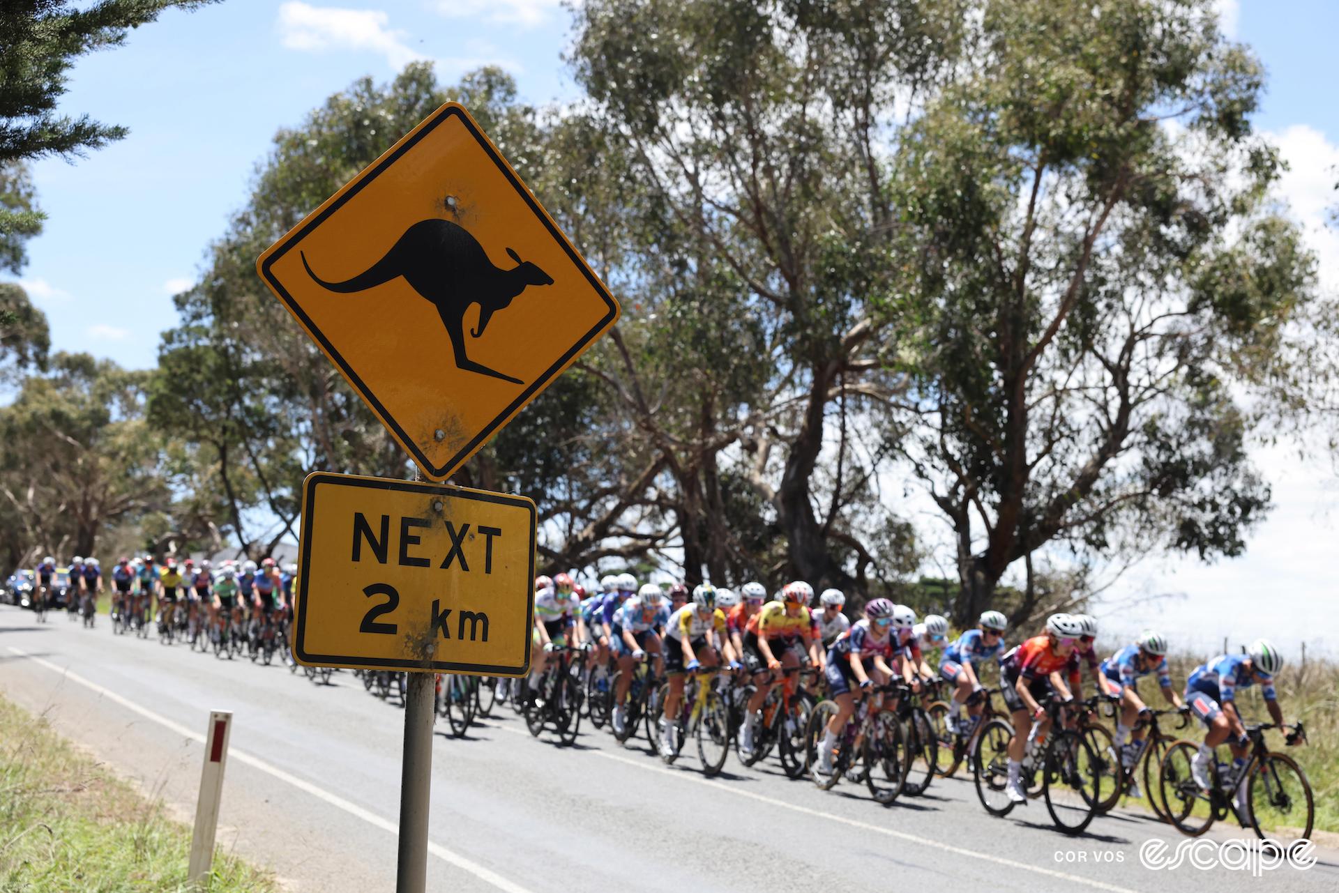 Six takeaways from the Australian summer races