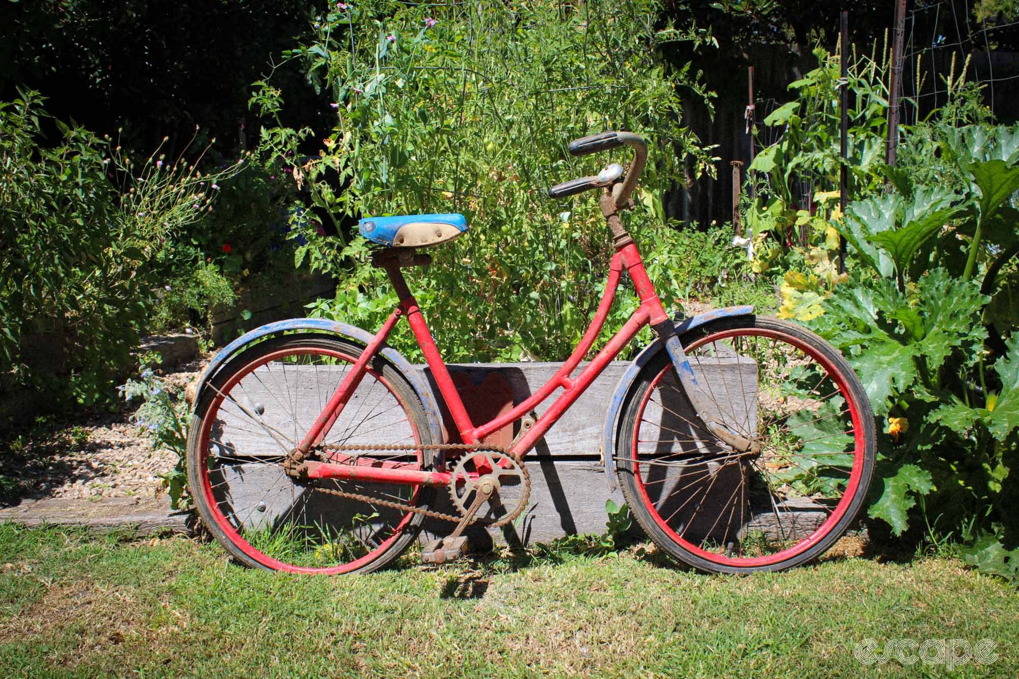 The many lifetimes of an old red bike