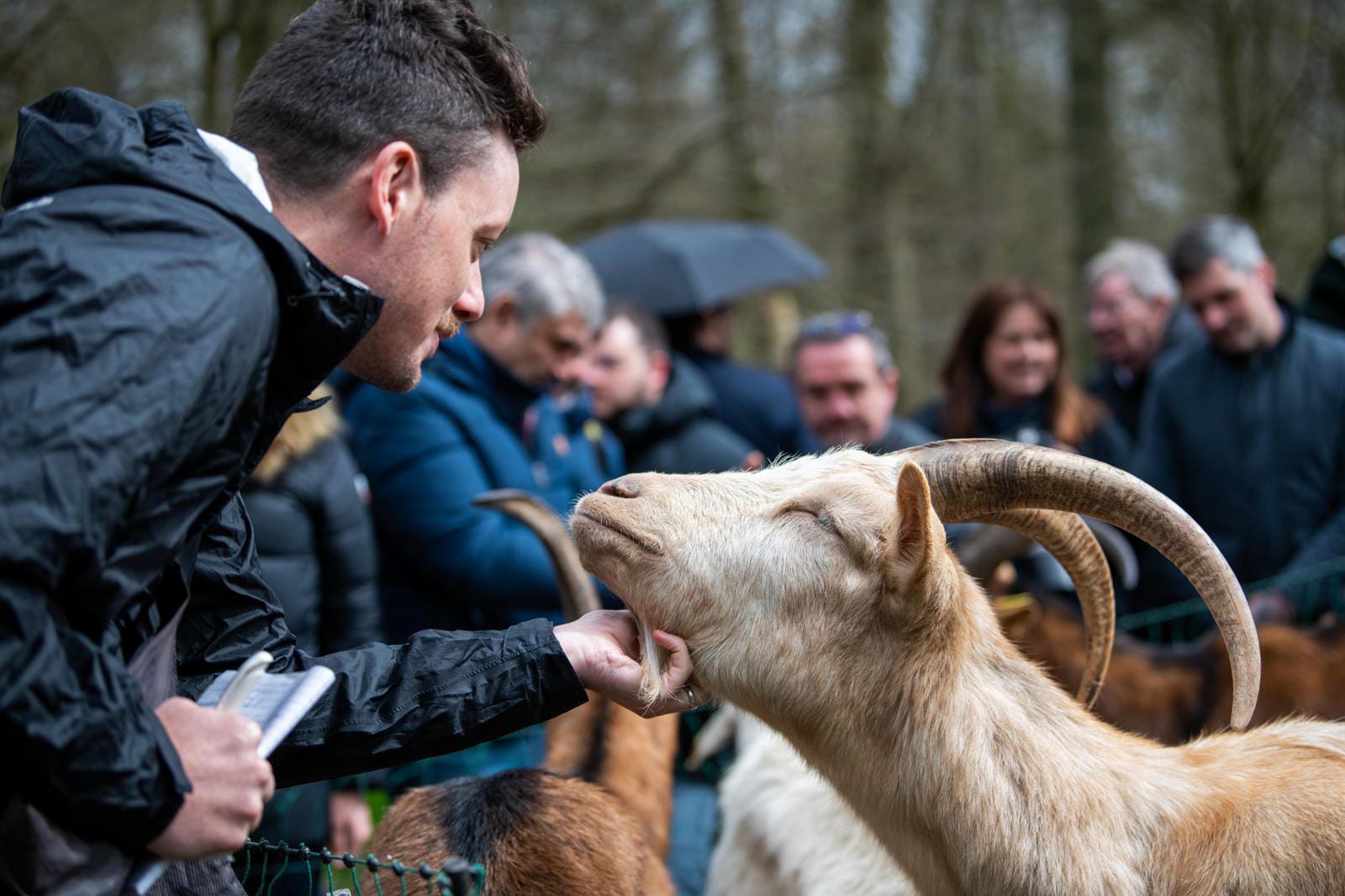 Goats, omelettes, and the eternal custodians of Paris-Roubaix