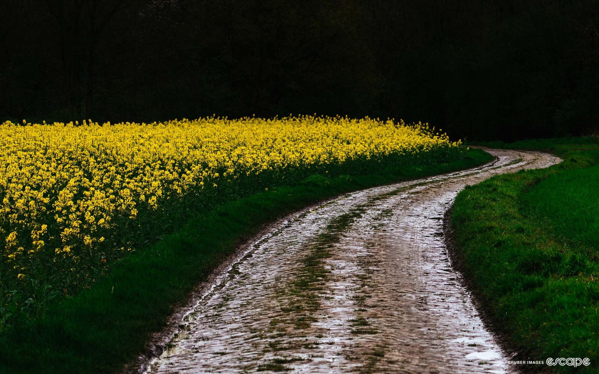 At the back of Paris-Roubaix, it’s all about survival