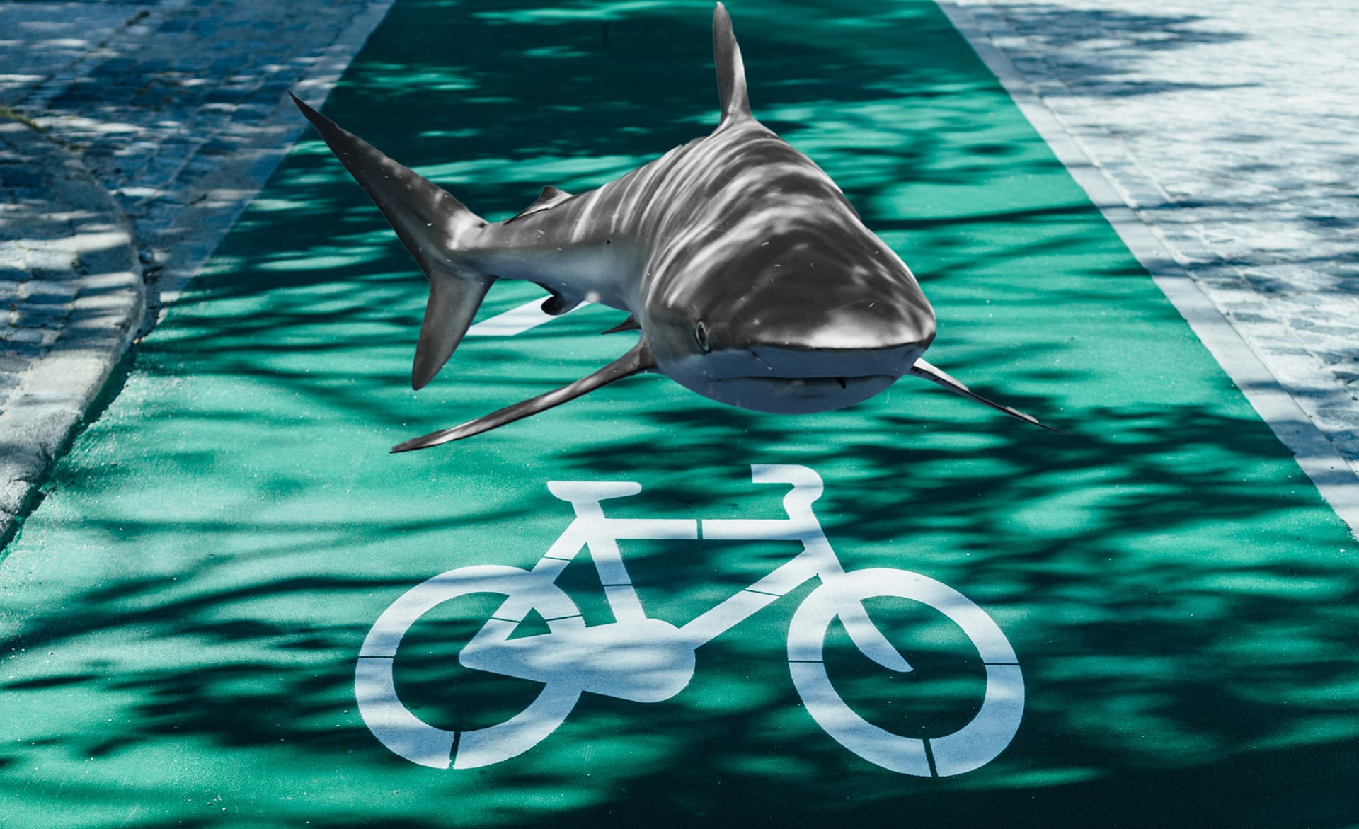 The curious case of the shark on the bike path