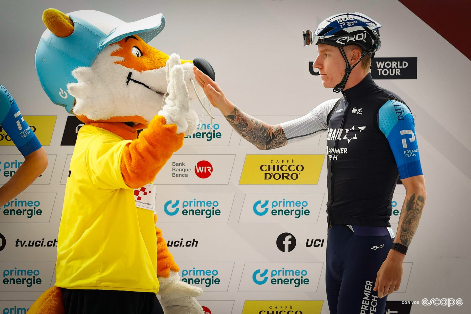 Meet the mascot: Tourli, the Tour de Suisse fox