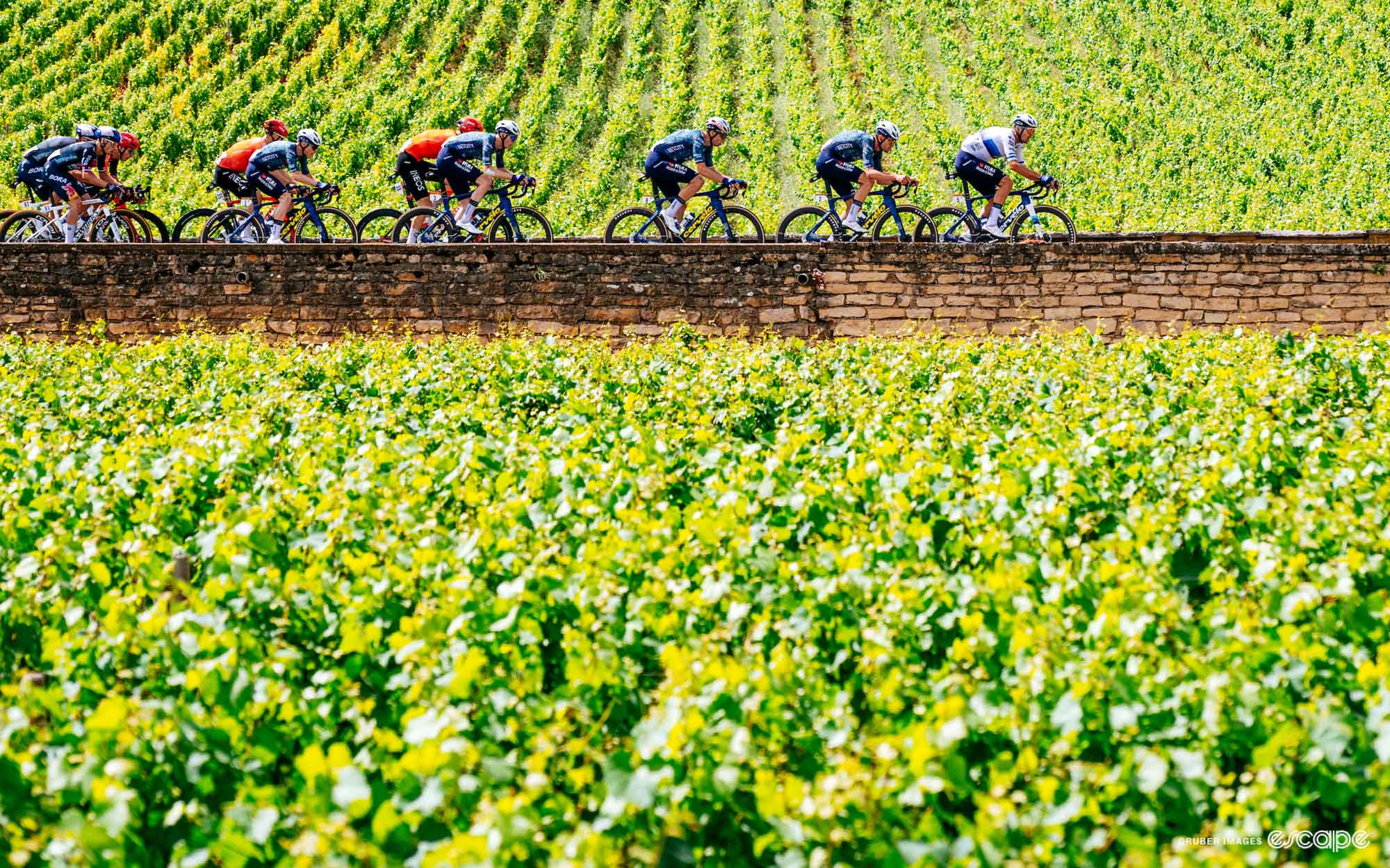 My train to Dijon couldn't care less about the Tour de France