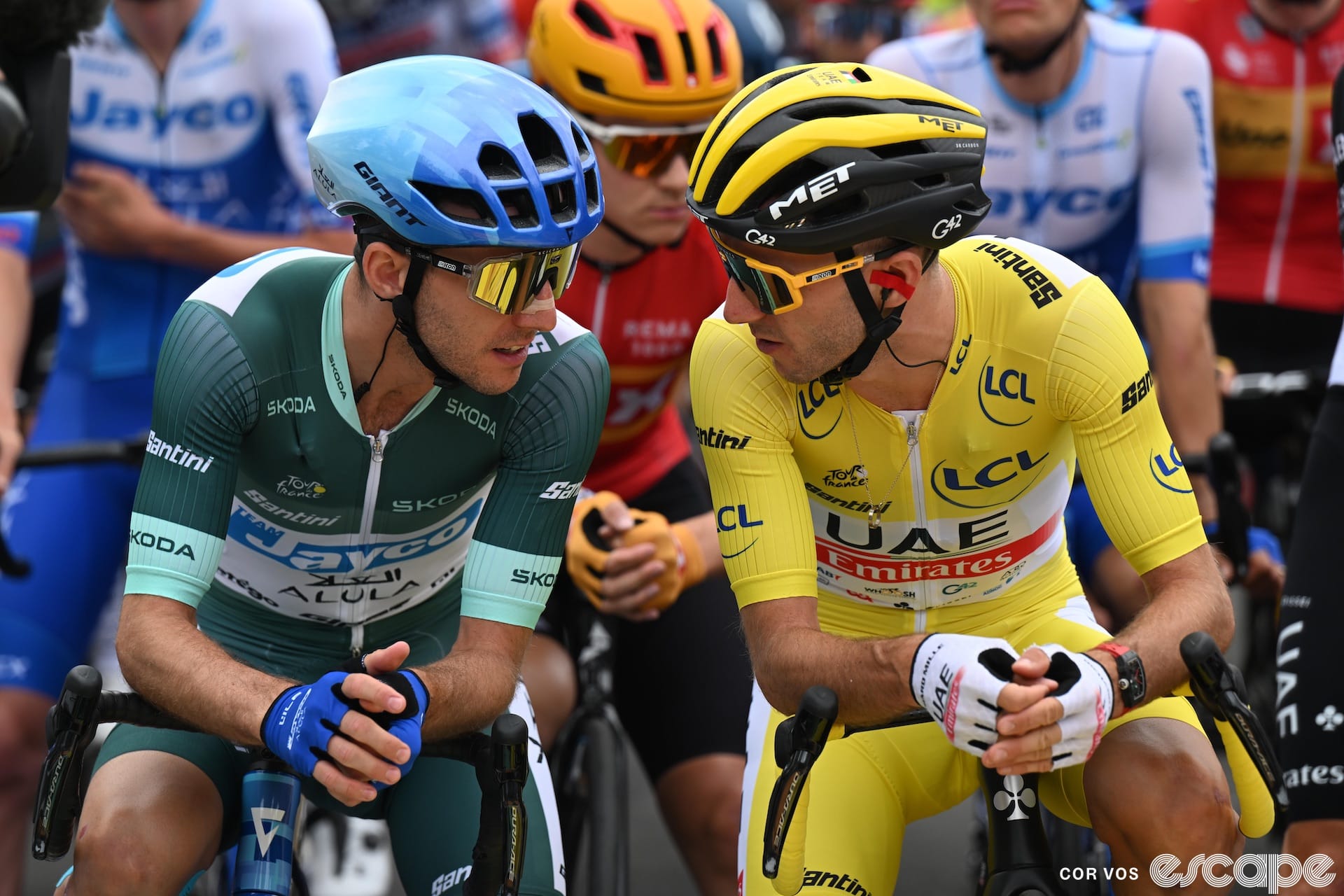 Let the Yates vs. Yates superdomestique battles begin