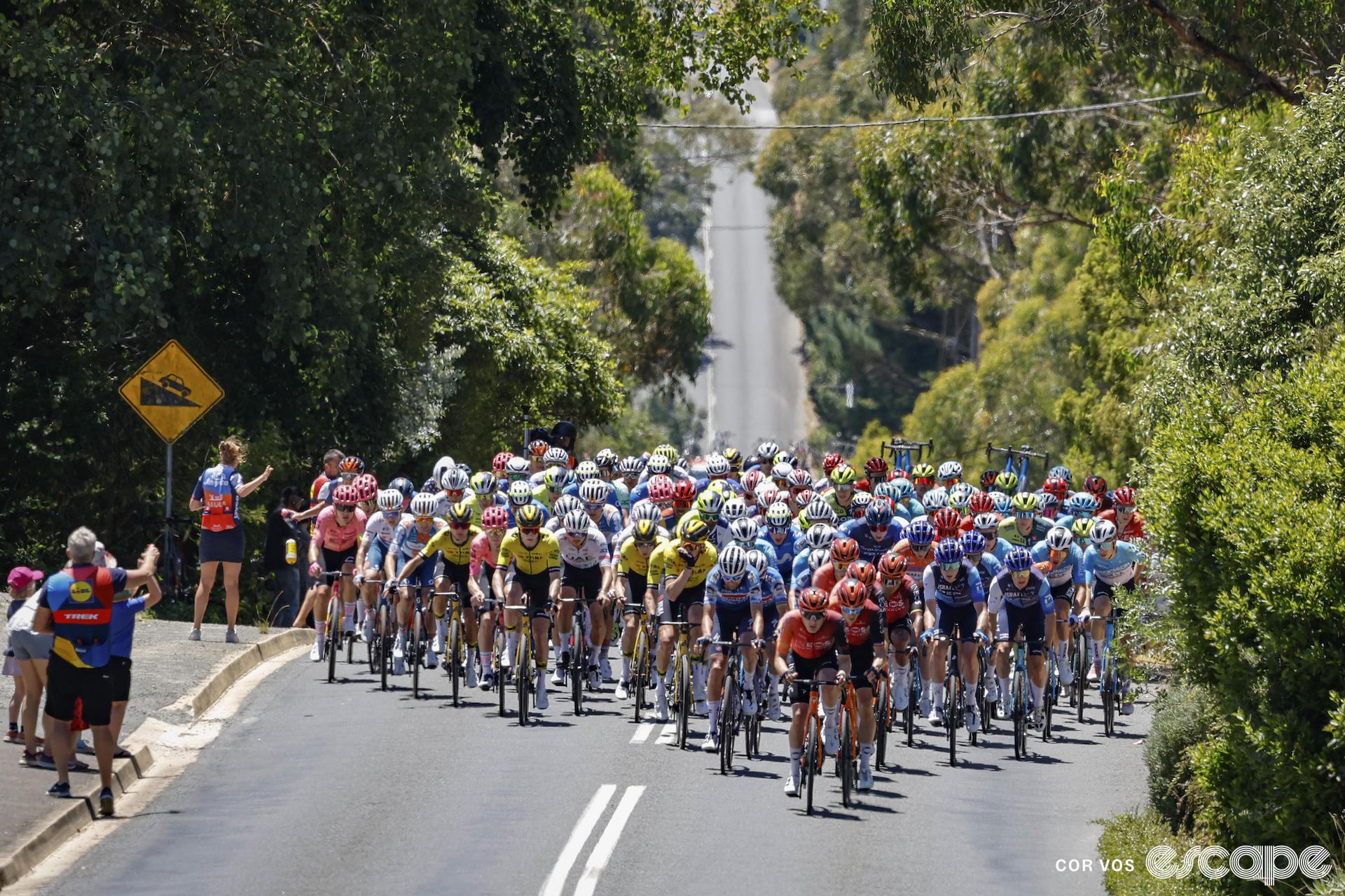 Preview: What to expect from the 2025 men's Tour Down Under