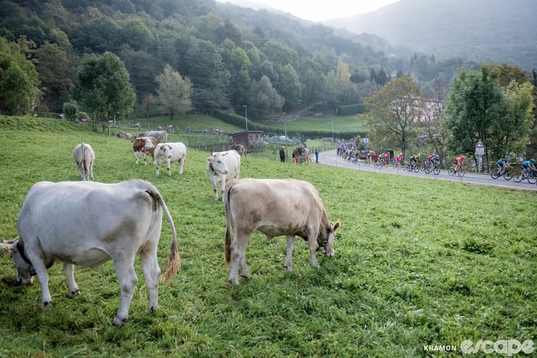 Cow disease forces re-route of stage 19 of the Tour de France