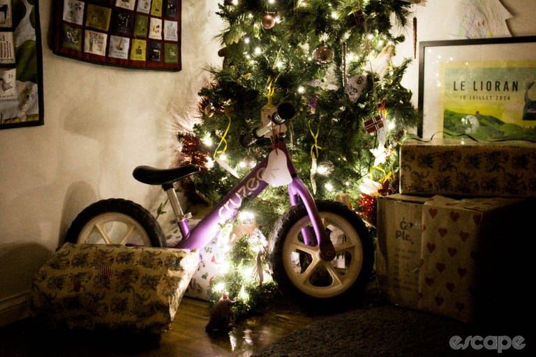 The bike under the Christmas tree