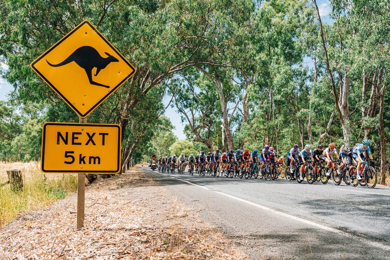 Willunga Hill returns – routes revealed for the 2024 men's and women's TDU