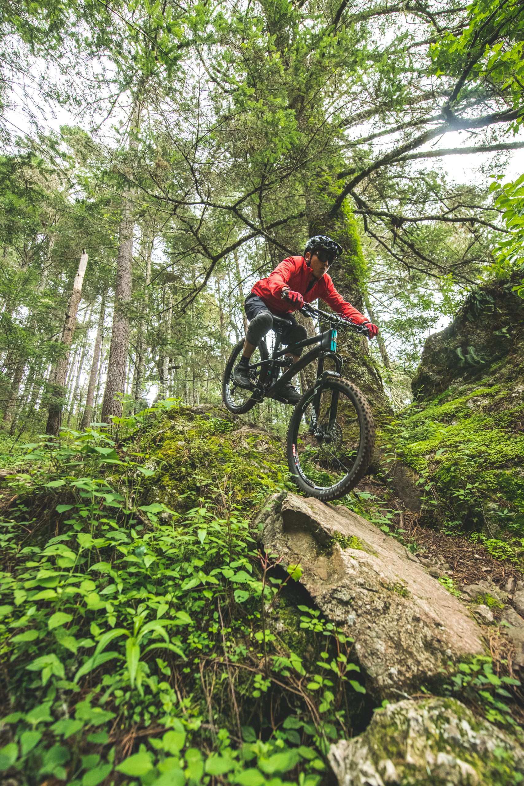 A mountain biker drops off a leafy green mound down a slanted rock on a trail in Oaxaca, Mexico. The photo is shot from below the rider, looking up into a canopy of trees.