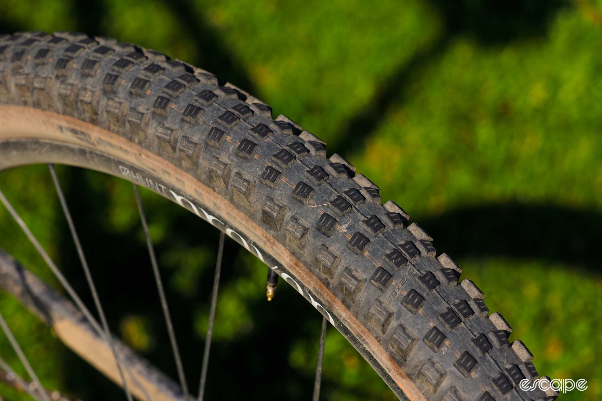 Schwalbe Wicked Will tread pattern