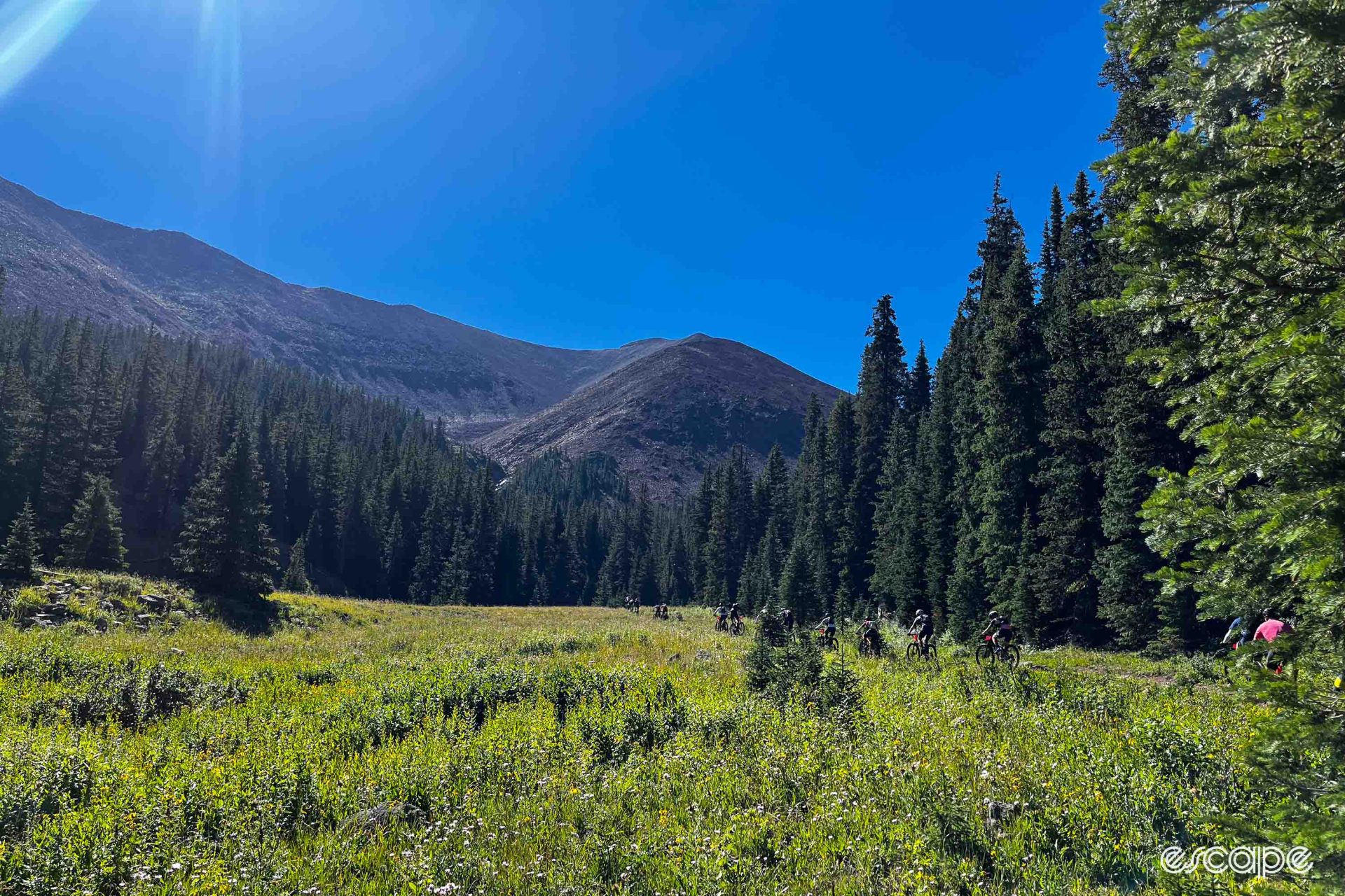 Mountain bikers climbing across a meadow in Breckenridge, Colorado