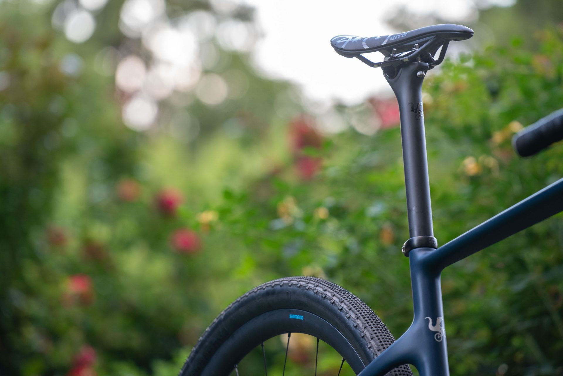 WTB Gravelier saddle on Moots carbon fiber seatpost