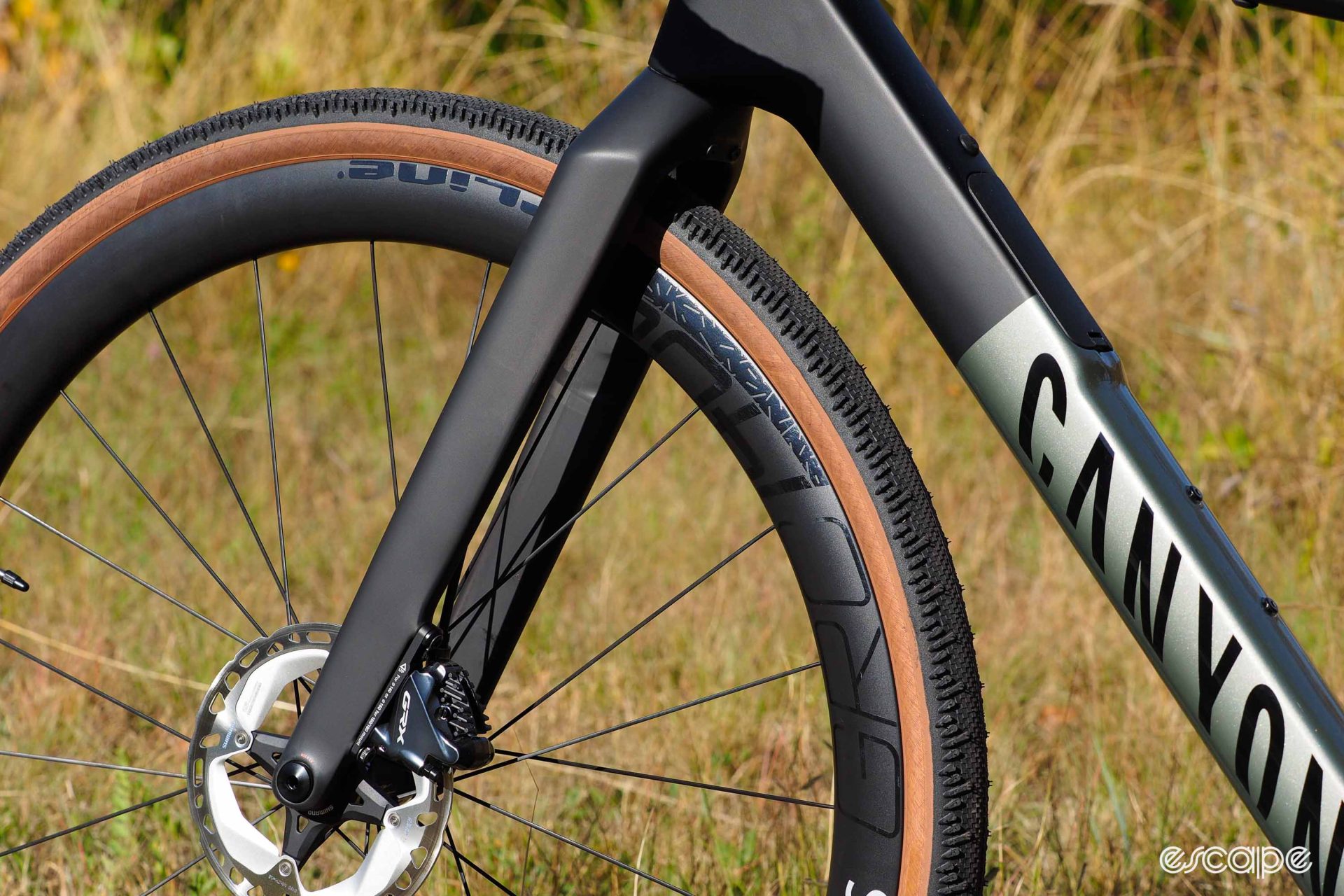 2024 Canyon Grail CF fork profile