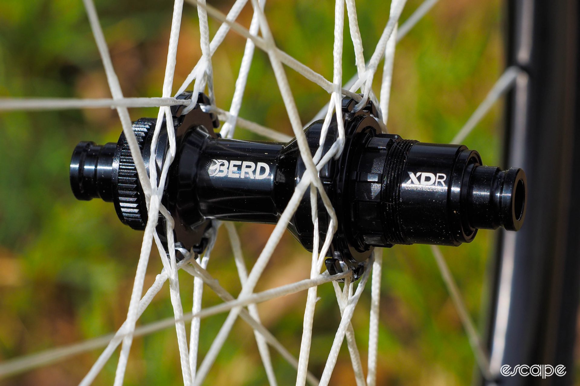 Berd Sparrow Talon rear hub