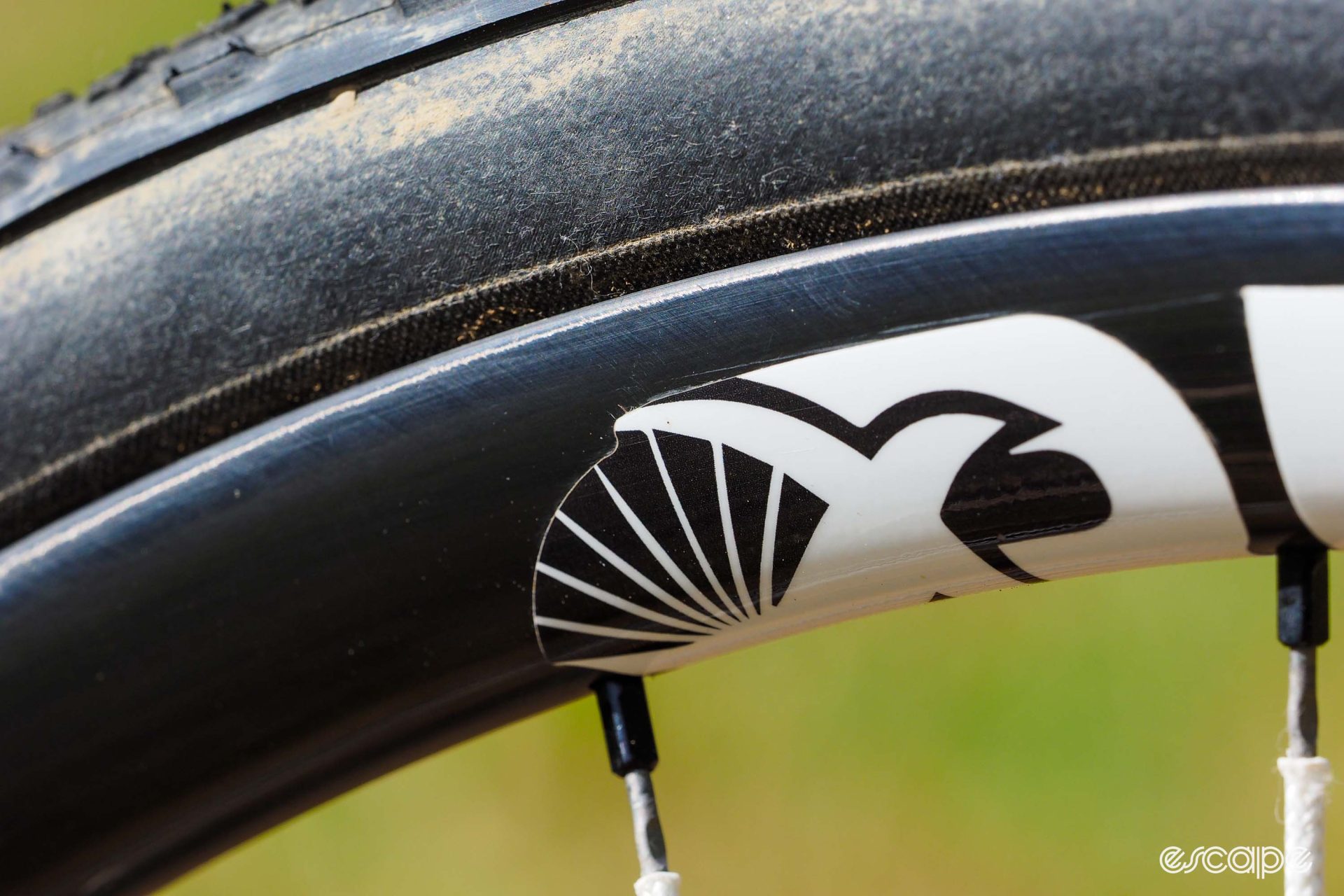 Berd Sparrow removable rim decals