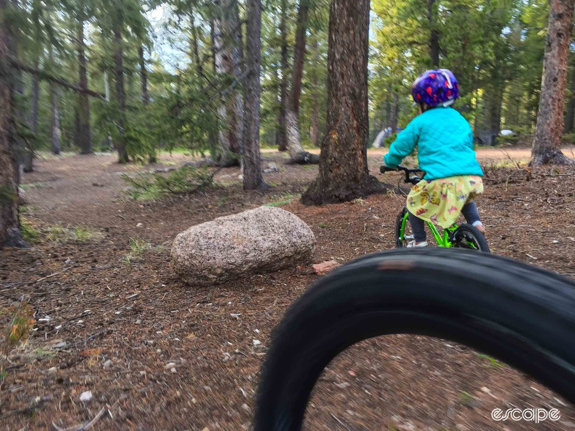 Kid mountain biking in the woods on an Islabikes Cnoc 14