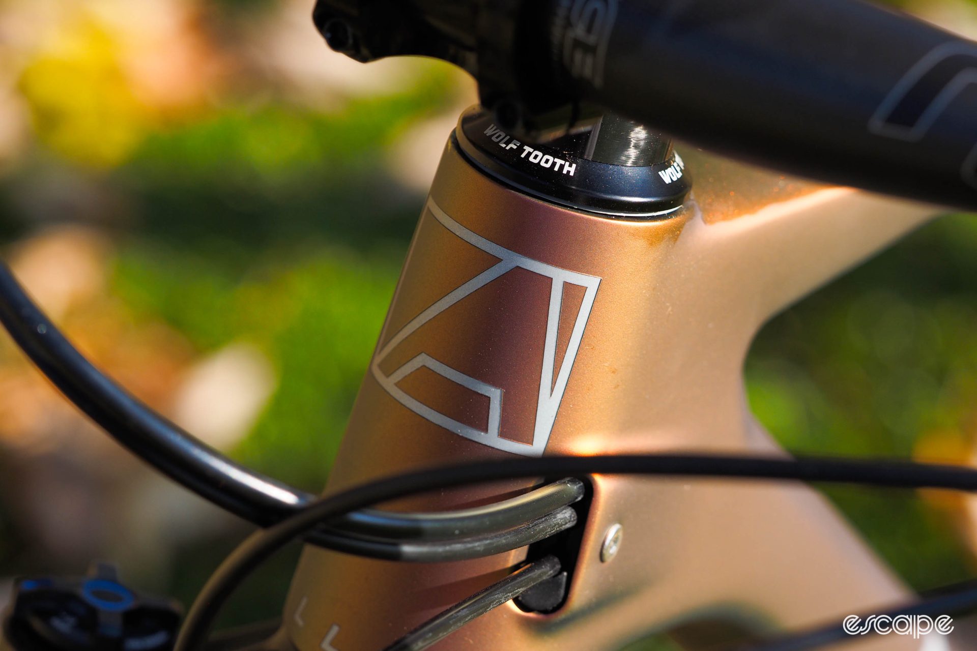 Head tube logo on Allied BC40