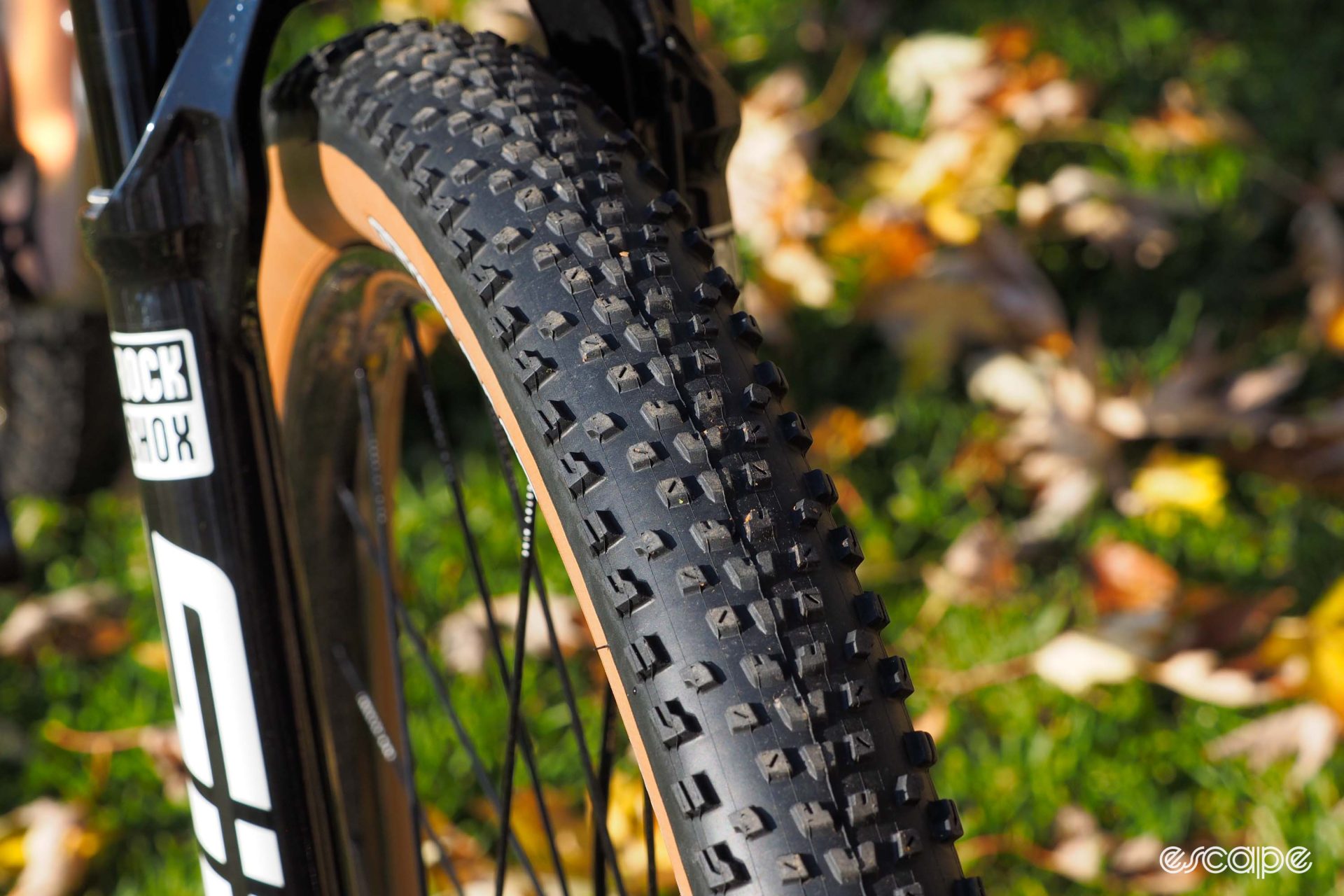 Maxxis Rekon Race tire