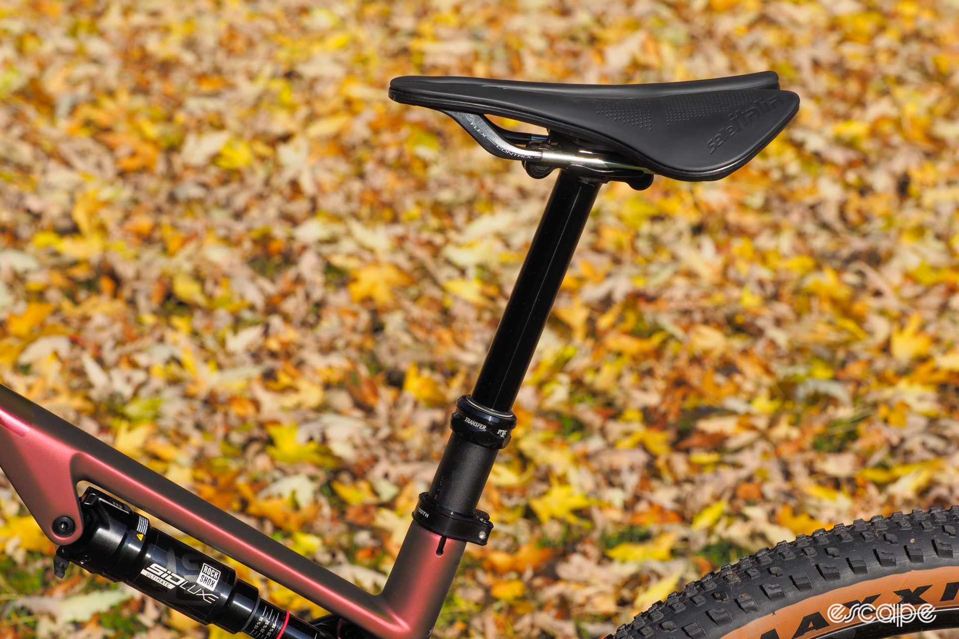 Selle Italia Model X on Fox Transfer seatpost