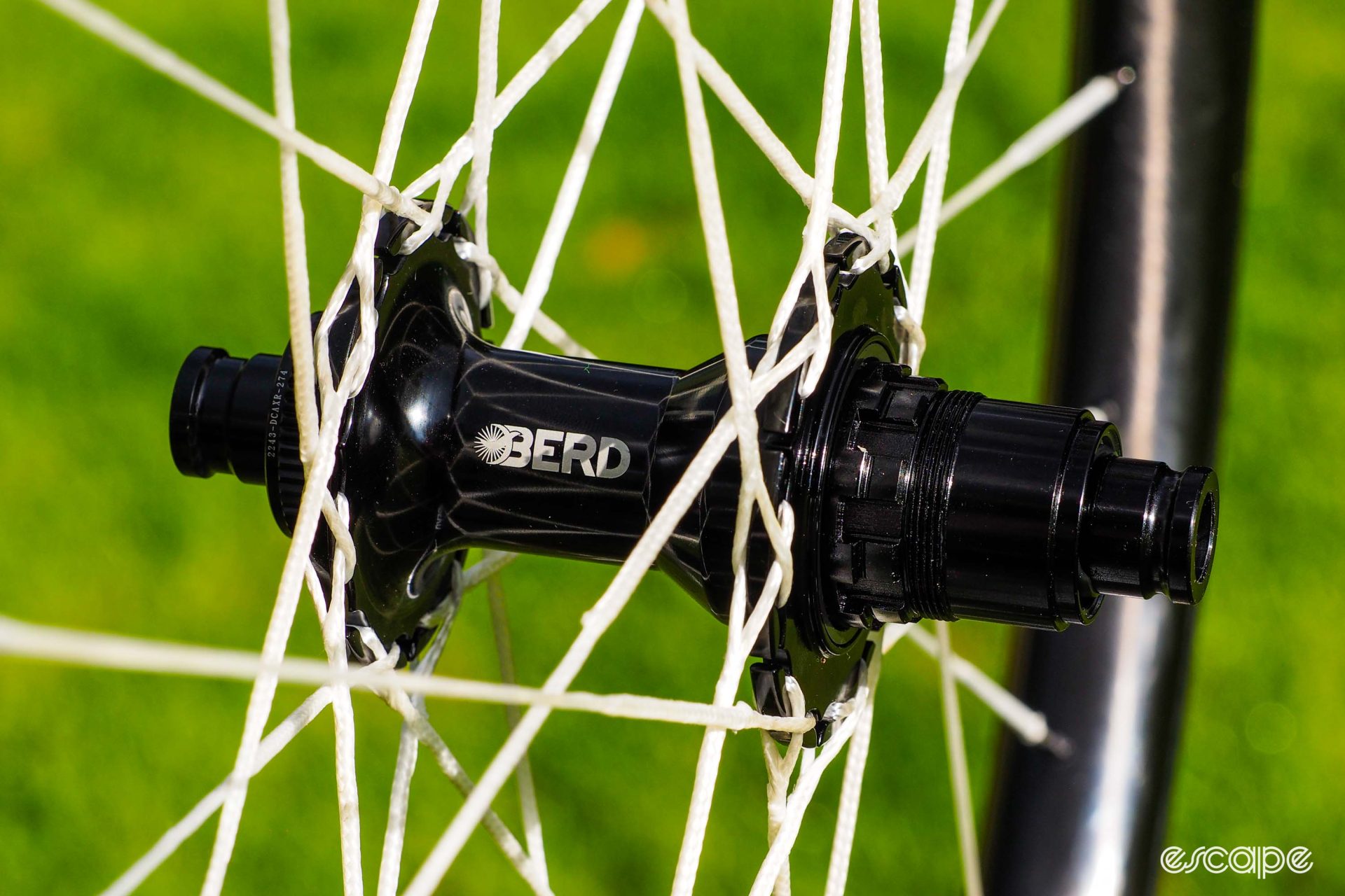 Berd Talon rear hub