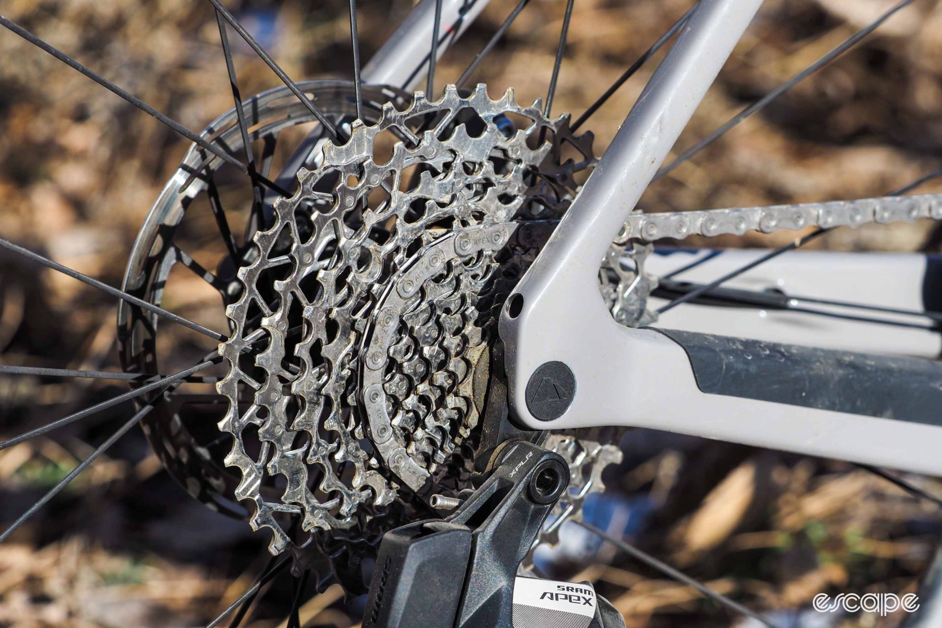 SRAM PG-1231 cassette mounted on bike