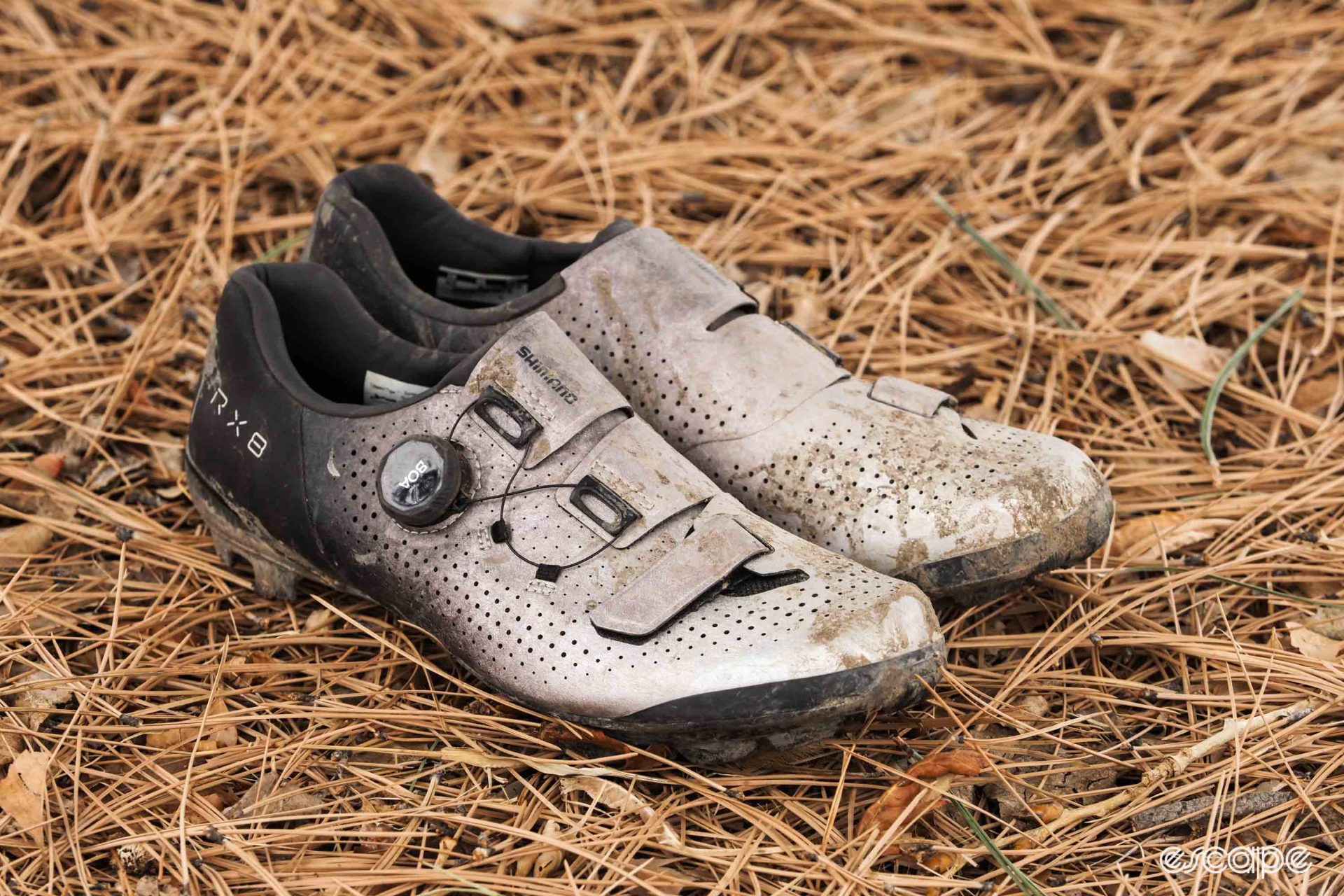 Shimano RX8 gravel shoes in pine needles