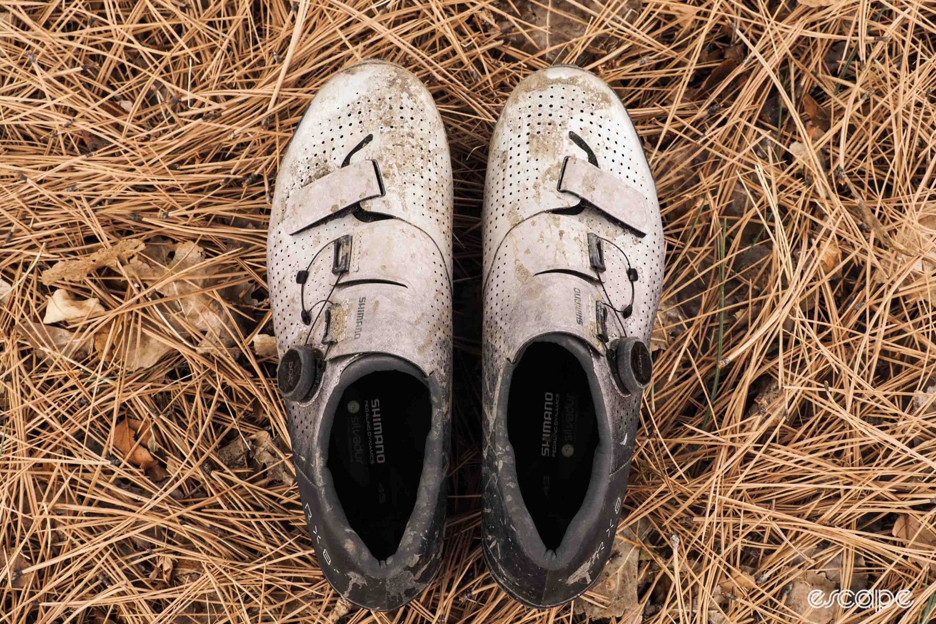 Shimano RX8 gravel shoe width