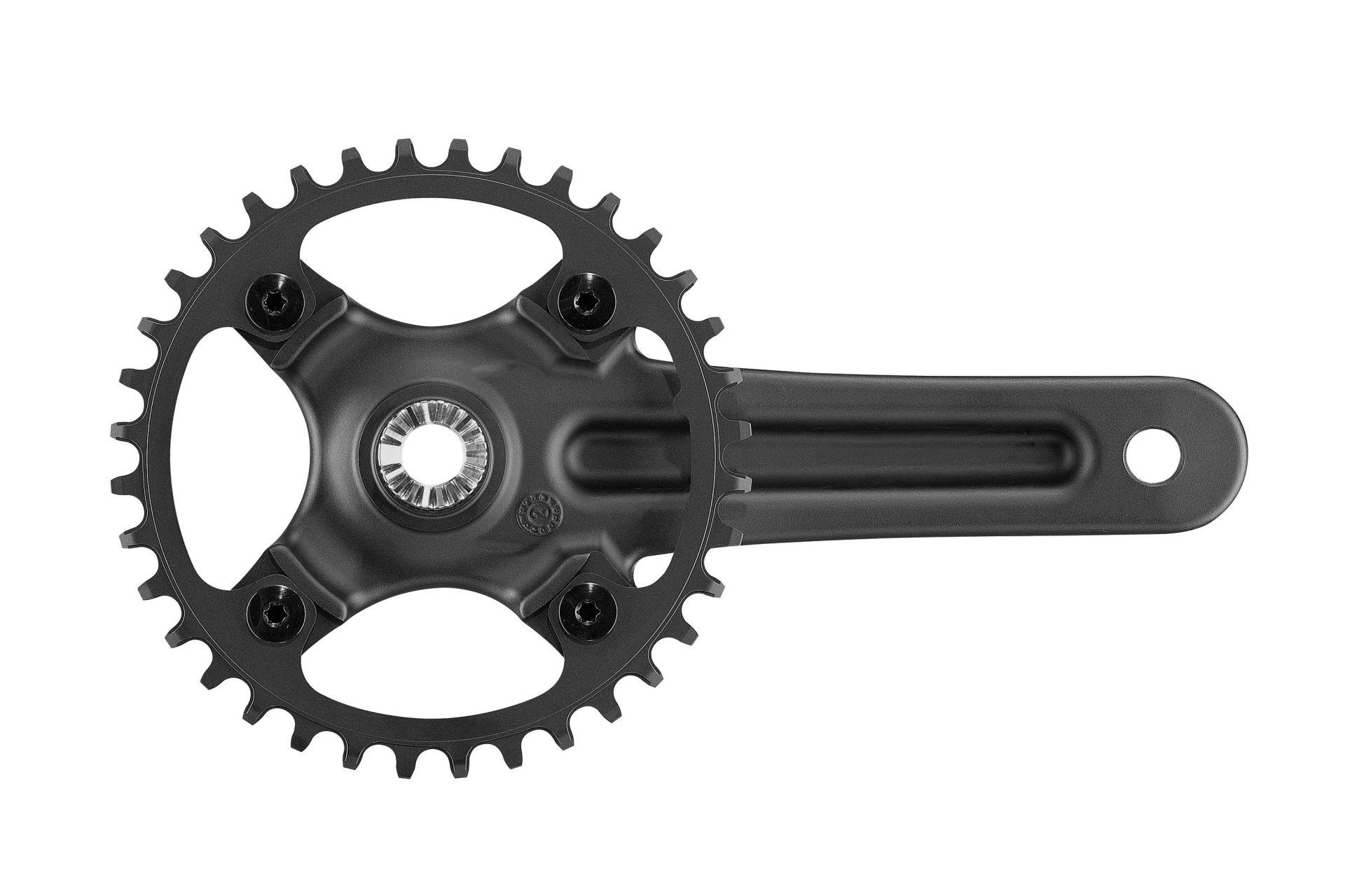 Campagnolo Ekar GT crankset chainring bolts