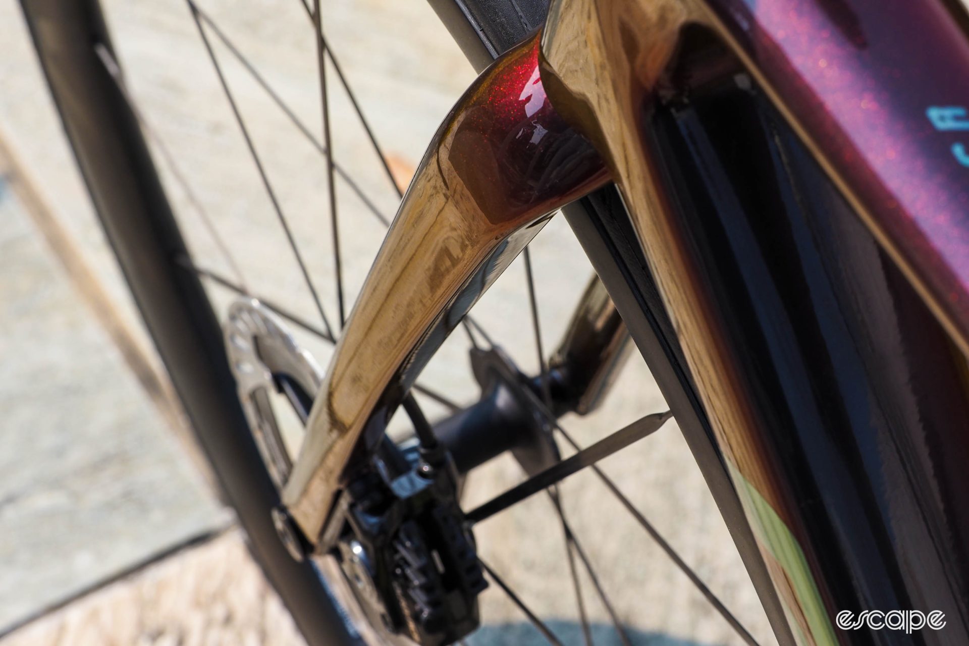 2025 Giant TCR Advanced SL 0 fork blade profile