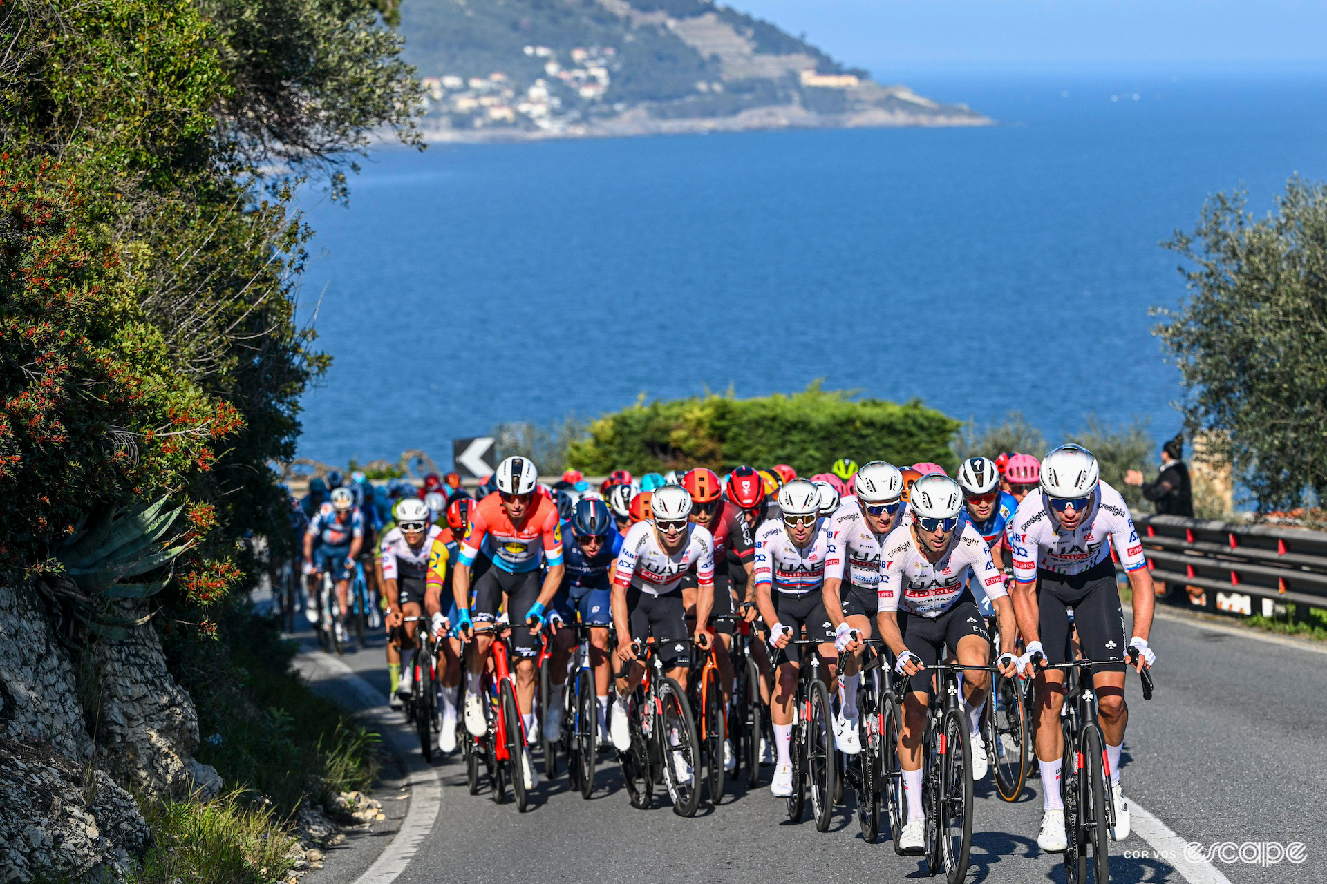 The UAE Team Emirates-led peloton during Milan-San Remo 2024.