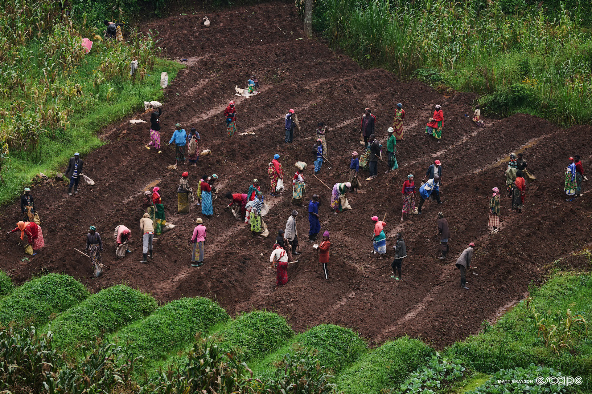 Scene from the 2024 Race Around Rwanda.