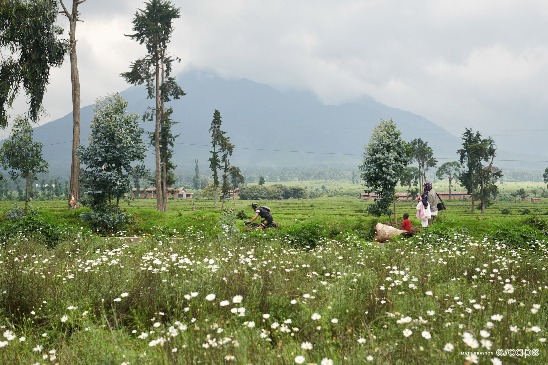 Scene from the 2024 Race Around Rwanda.