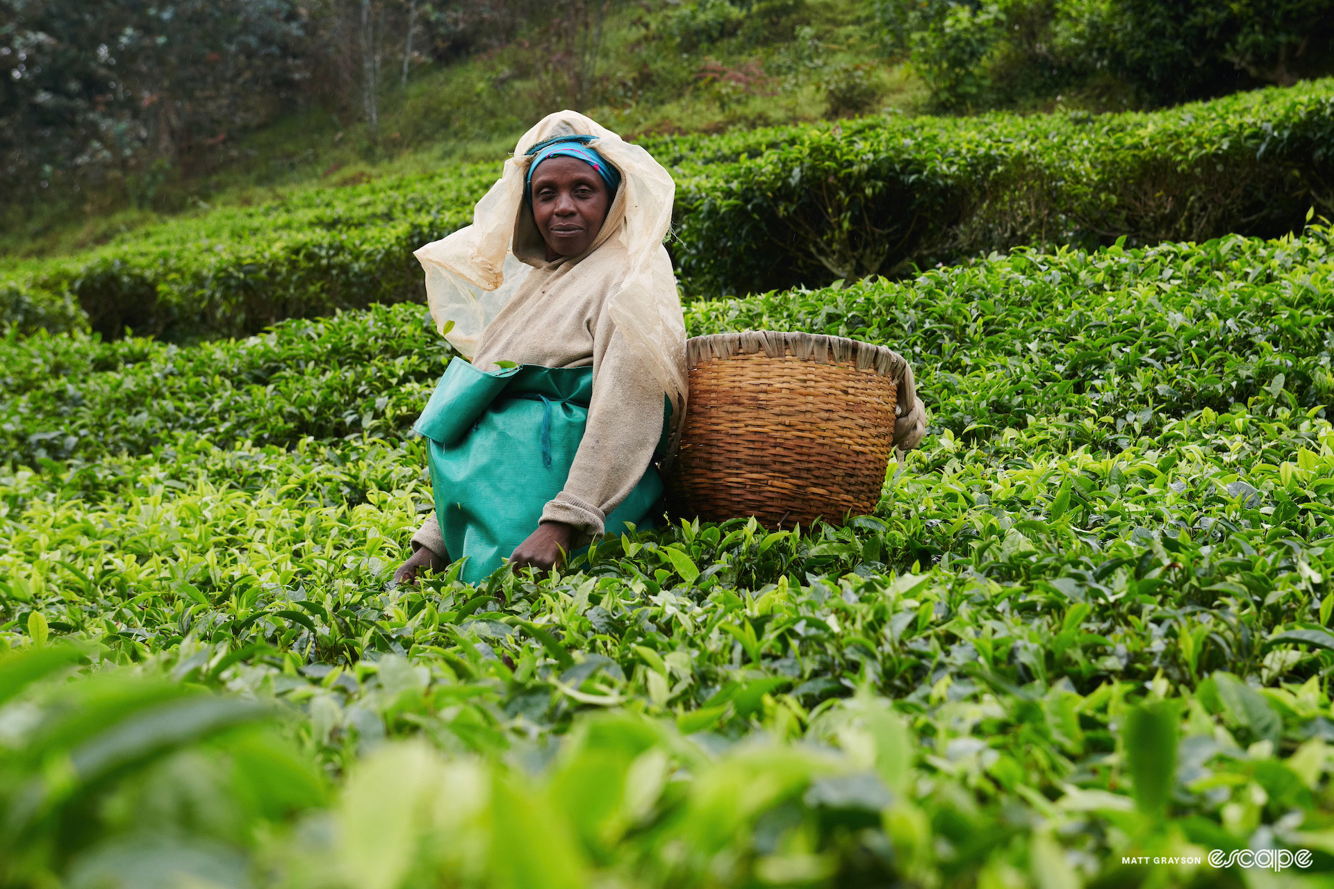 Scene from the 2024 Race Around Rwanda.