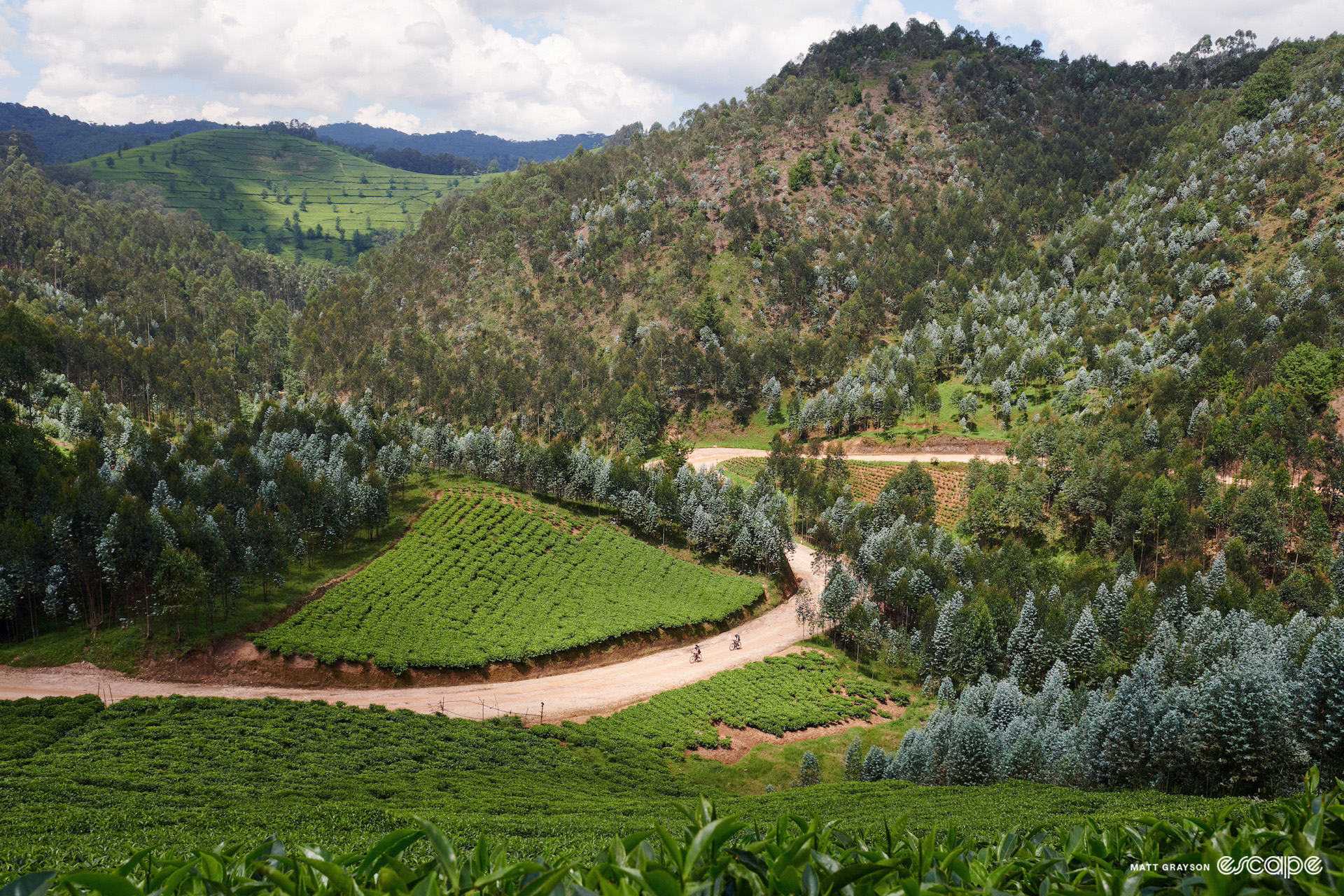 Scene from the 2024 Race Around Rwanda.