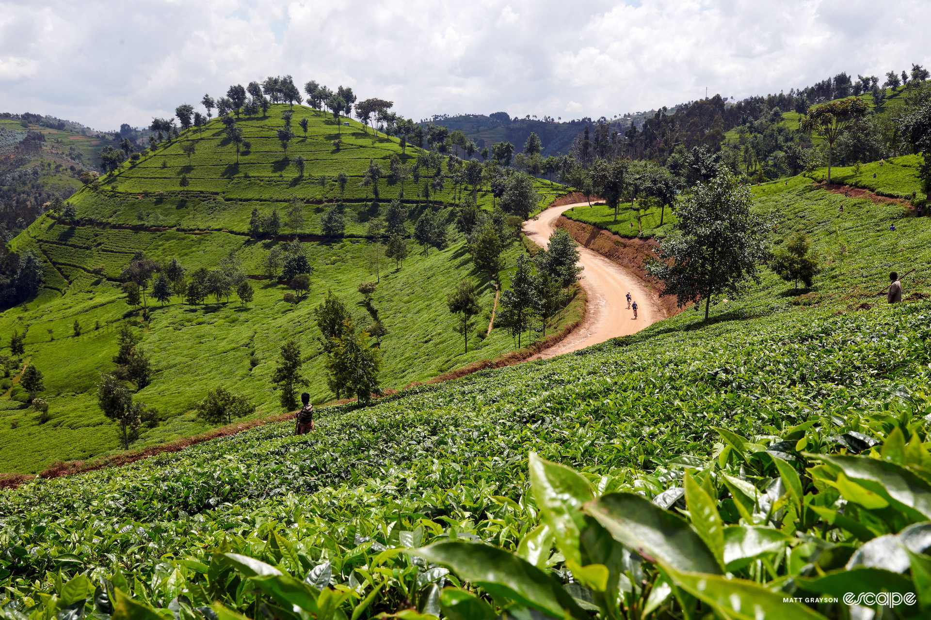 Scene from the 2024 Race Around Rwanda.