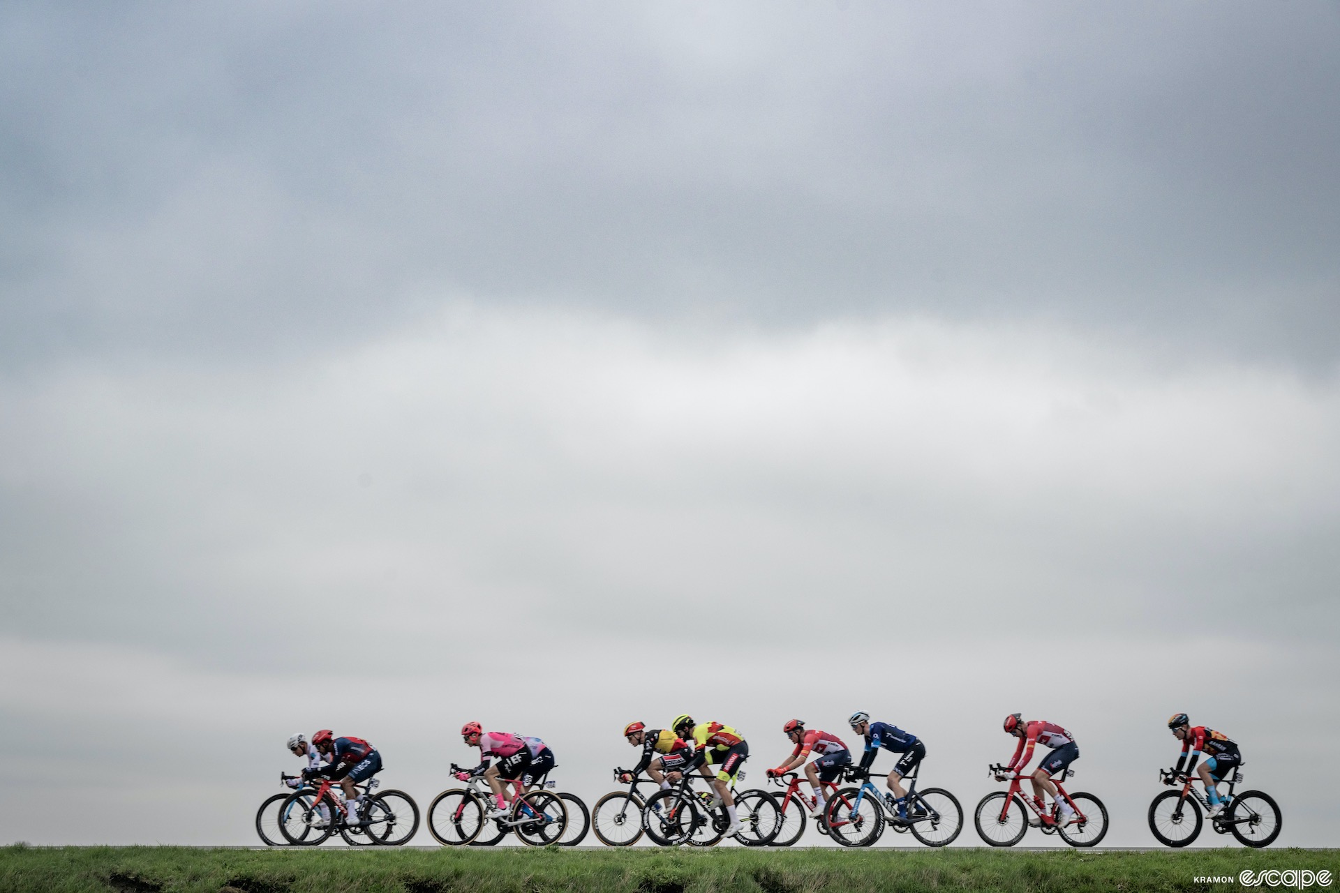 The Flanders peloton.